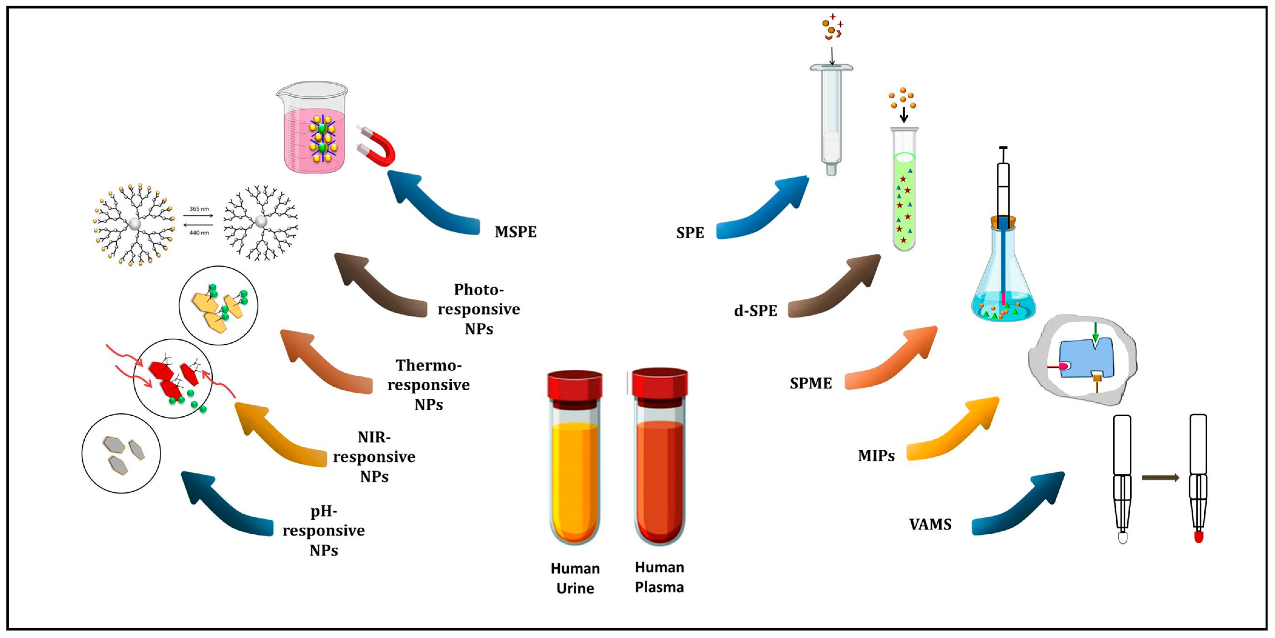 Molecules 29 02278 g001