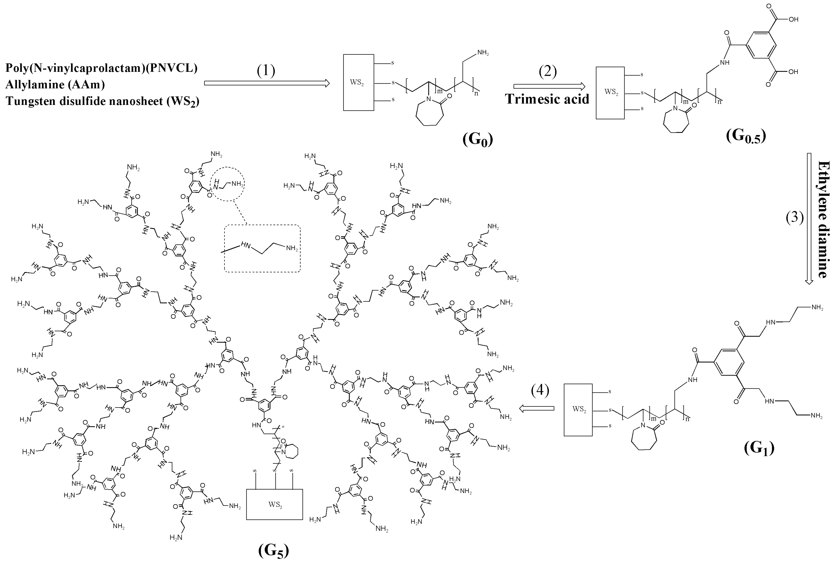 Molecules 29 02278 g003