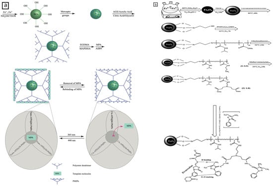 Molecules 29 02278 g004
