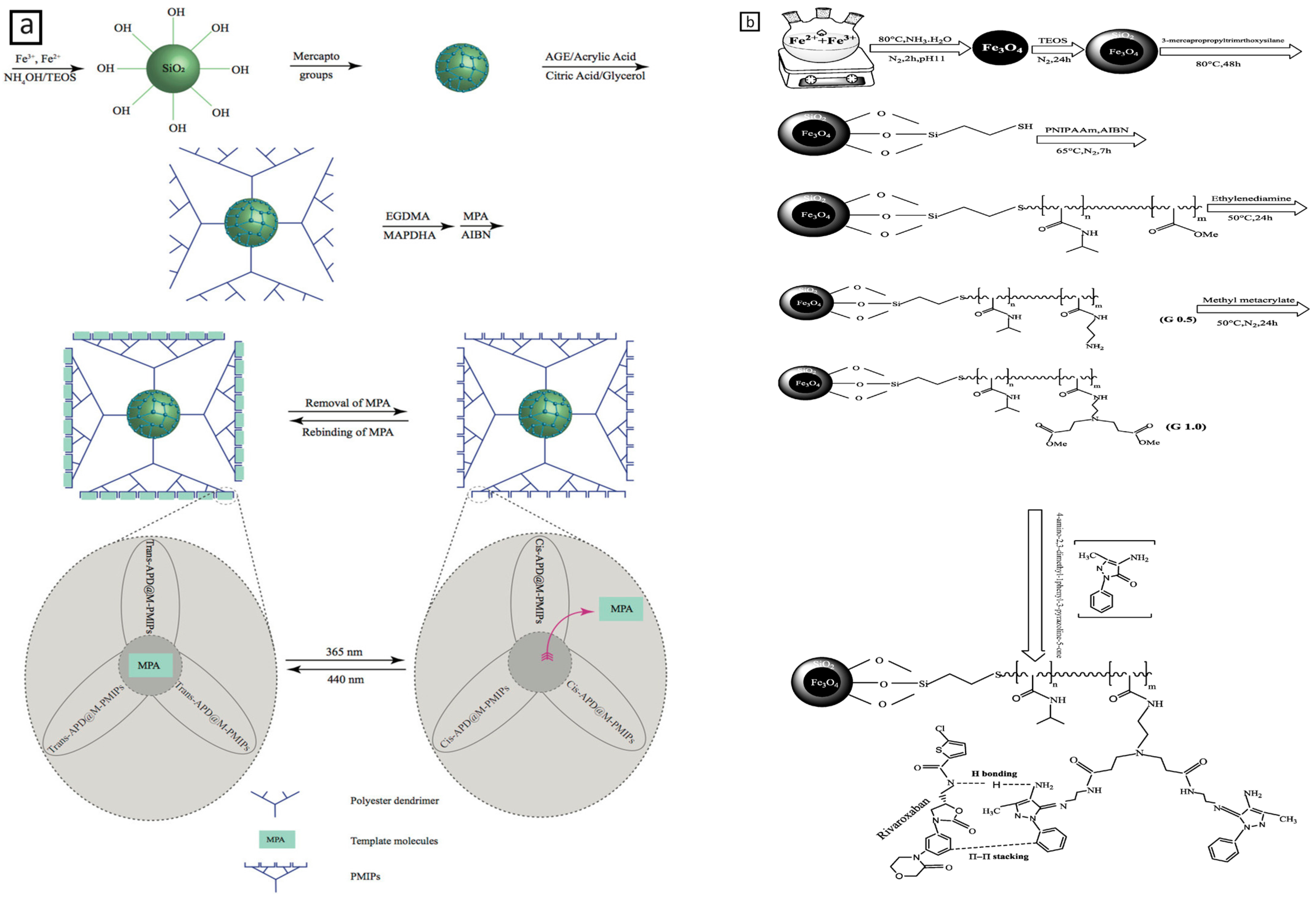 Molecules 29 02278 g004
