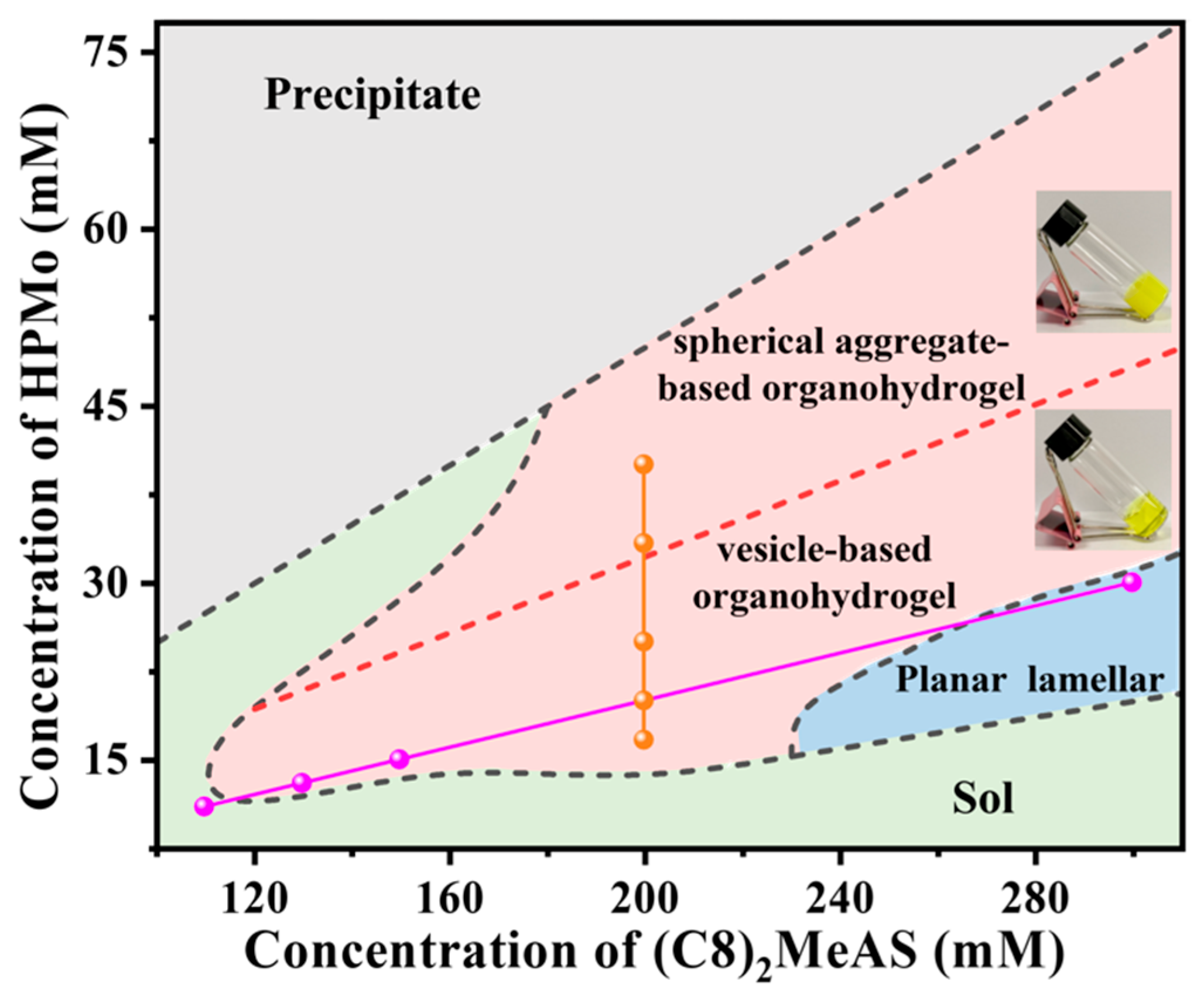 Molecules 29 02286 g001