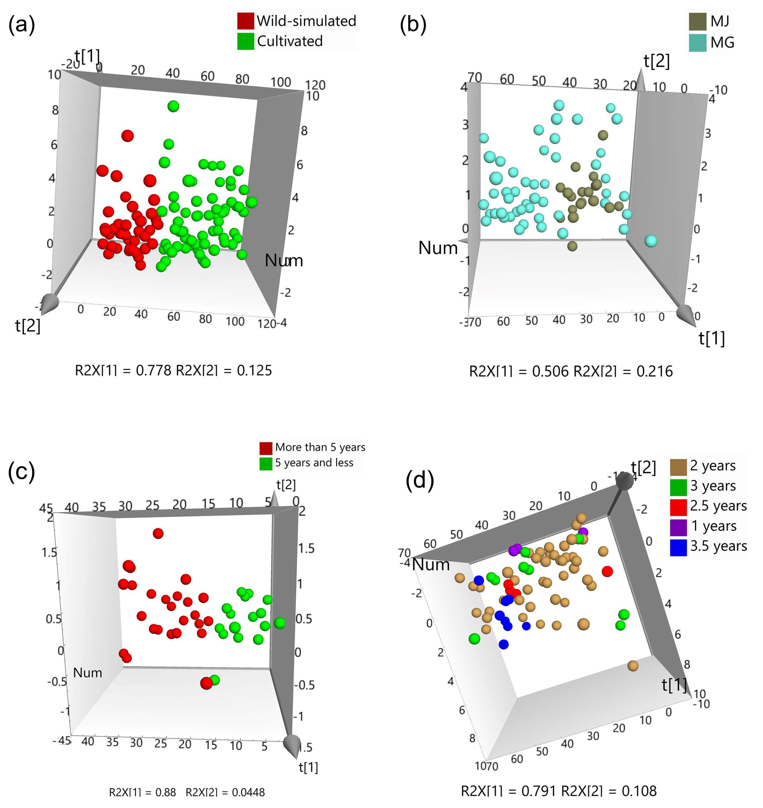 Molecules 29 02287 g005