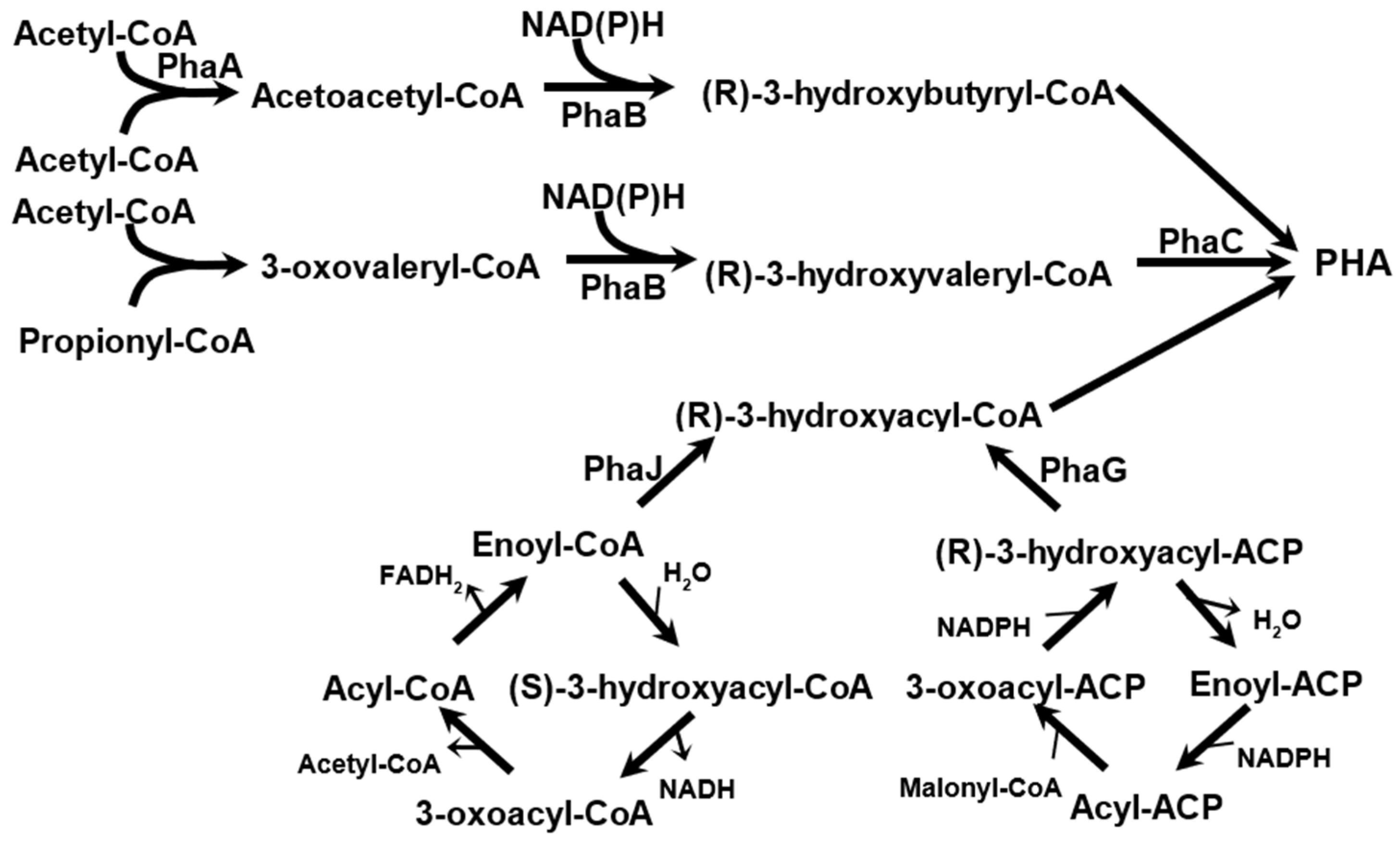 Molecules 29 02293 g003 Molecules 29 02293 g003
