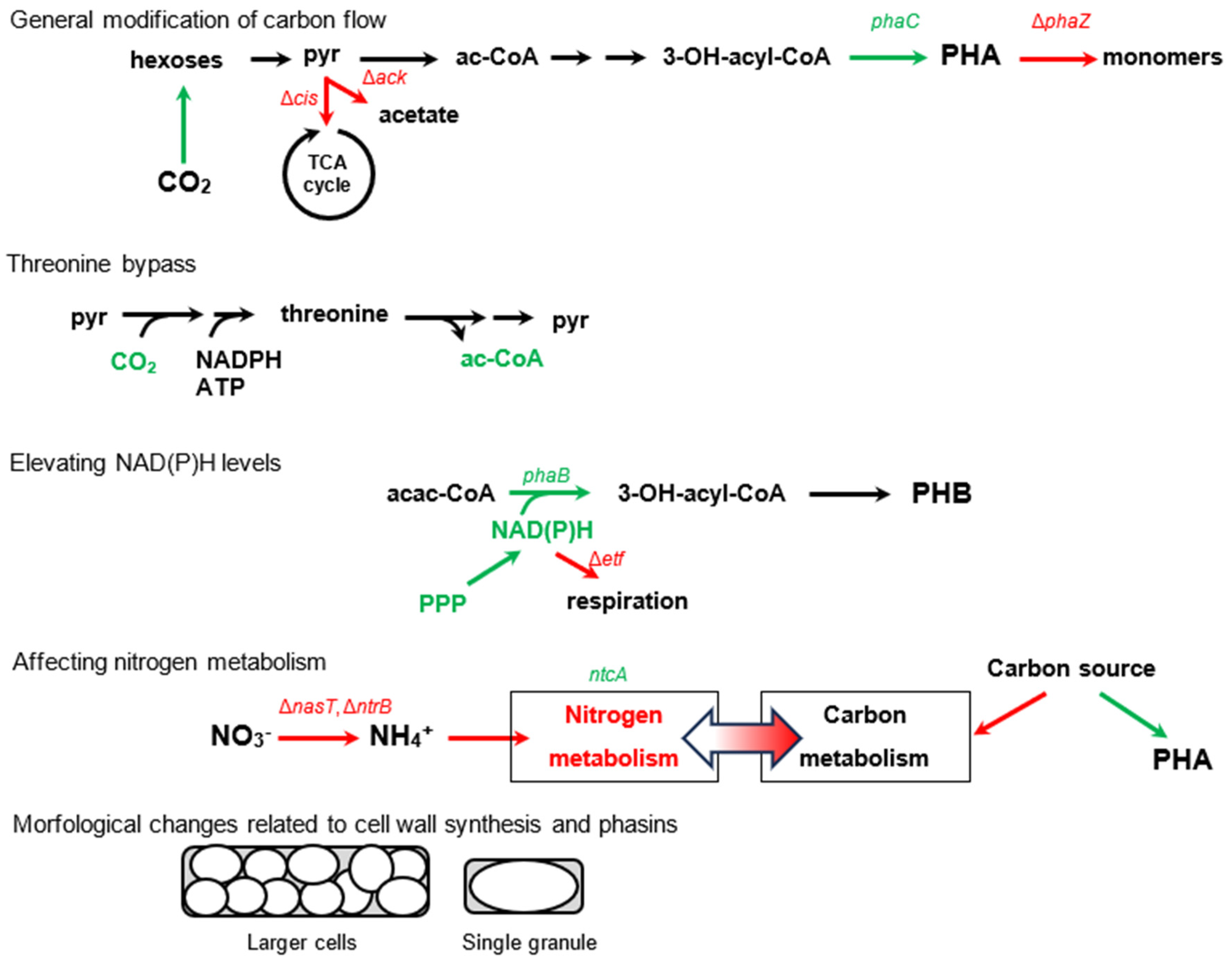 Molecules 29 02293 g004a Molecules 29 02293 g004a