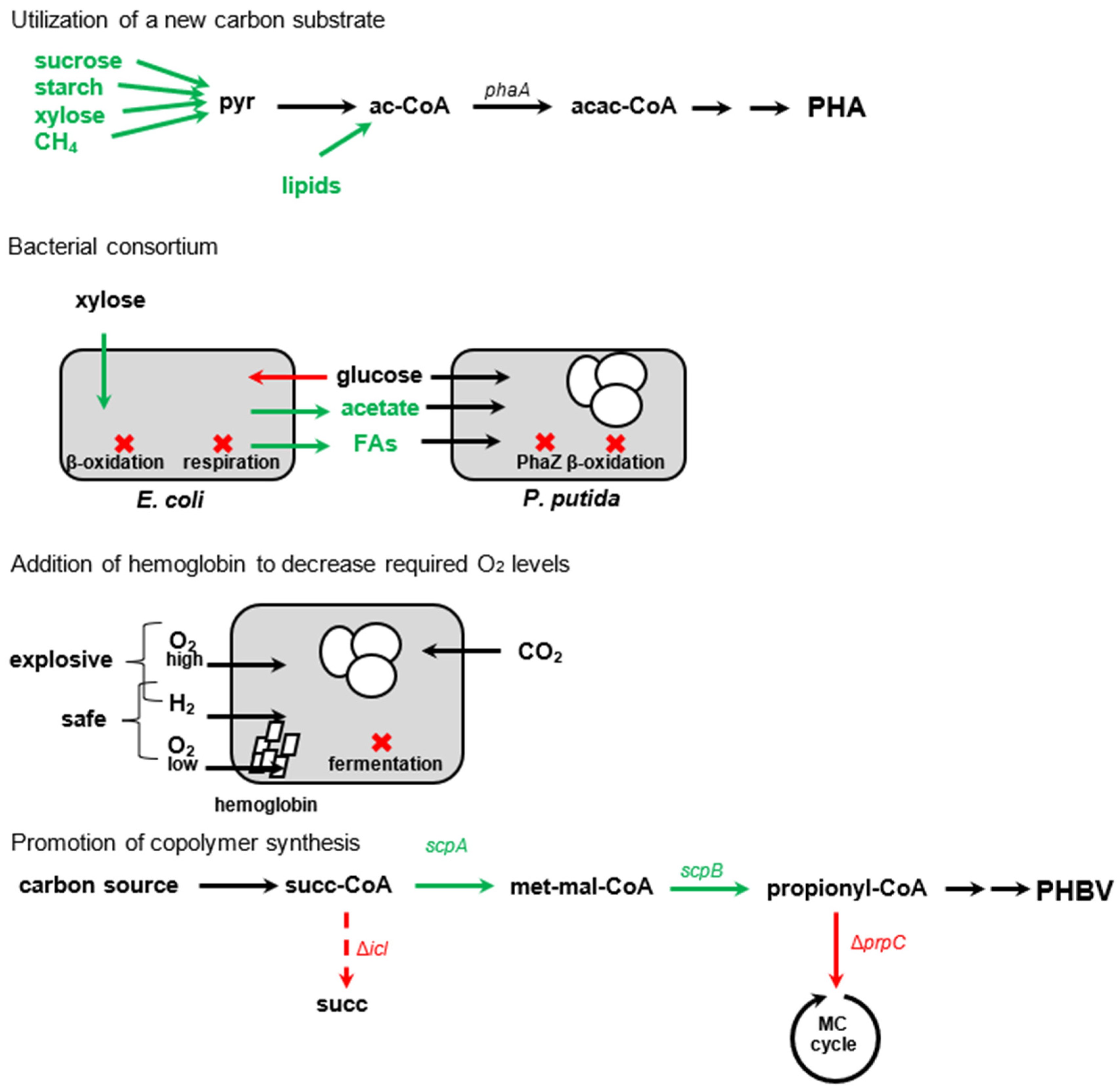 Molecules 29 02293 g004b Molecules 29 02293 g004b