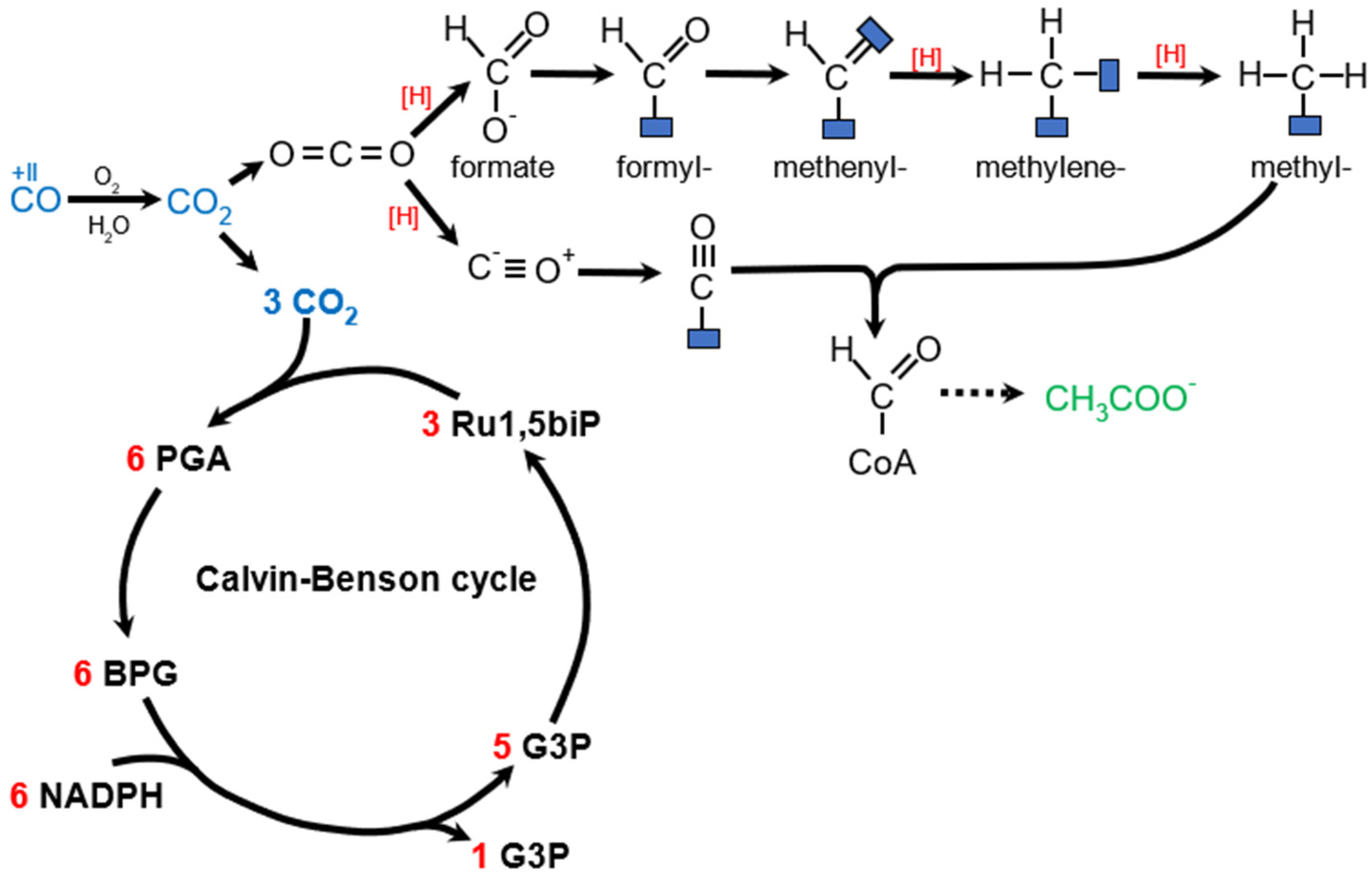 Molecules 29 02293 g005 Molecules 29 02293 g005