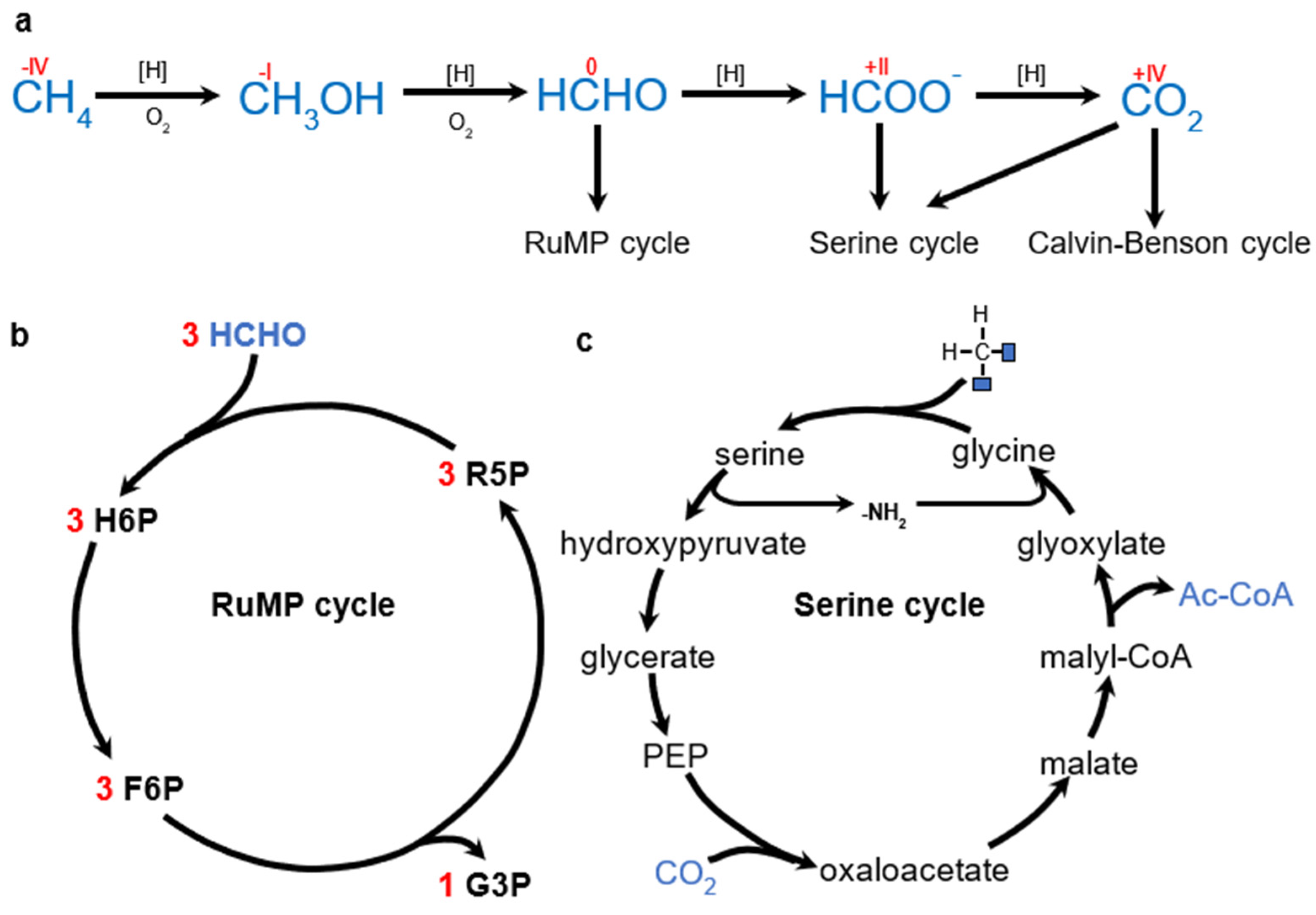 Molecules 29 02293 g006 Molecules 29 02293 g006