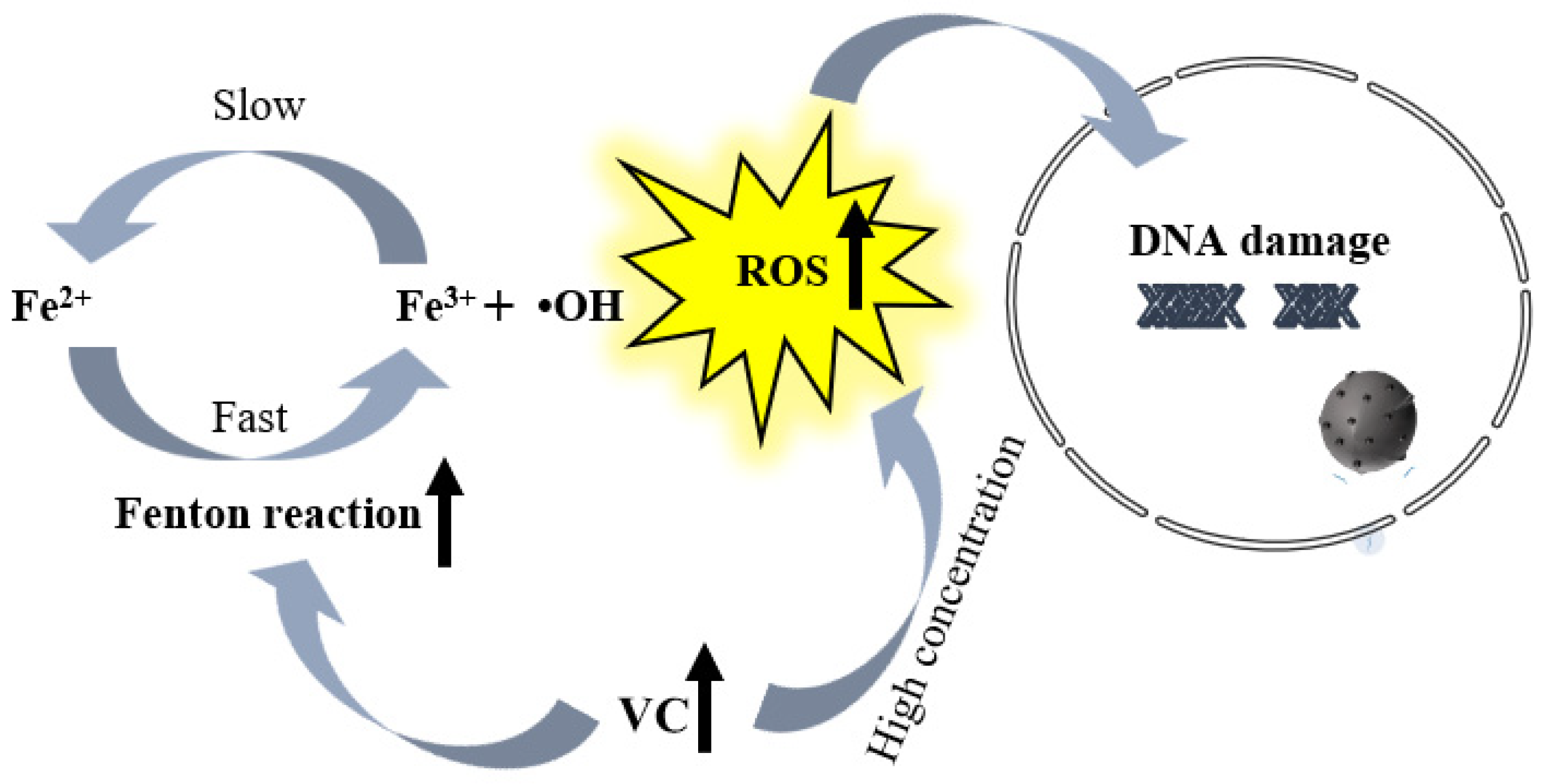 Molecules 29 02295 g002 Molecules 29 02295 g002