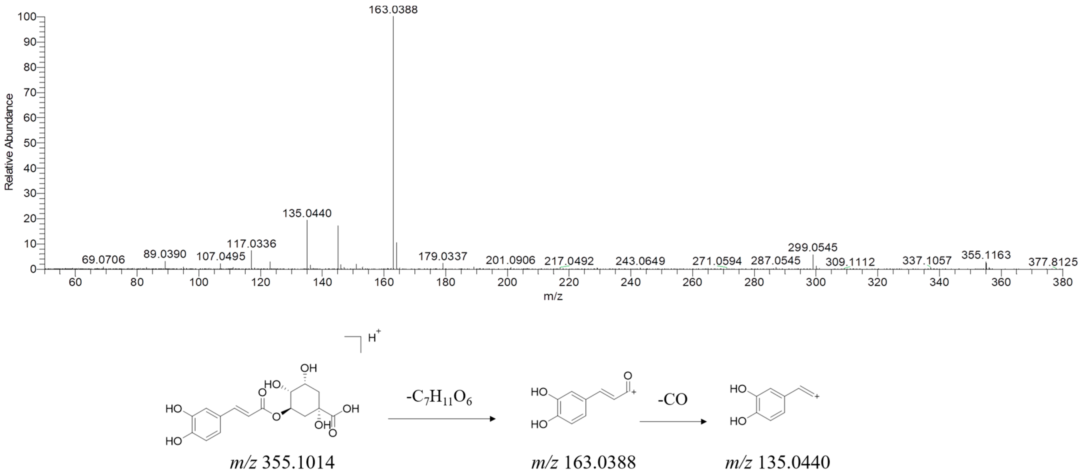 Molecules 29 02300 g004