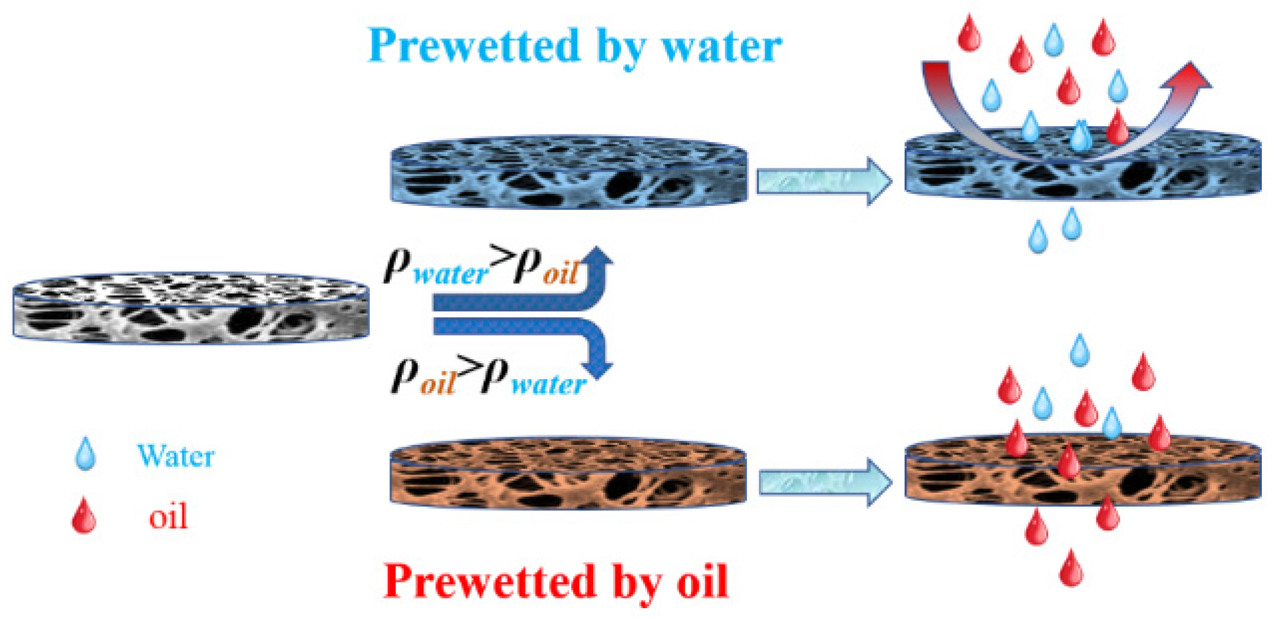 Molecules 29 02302 g012