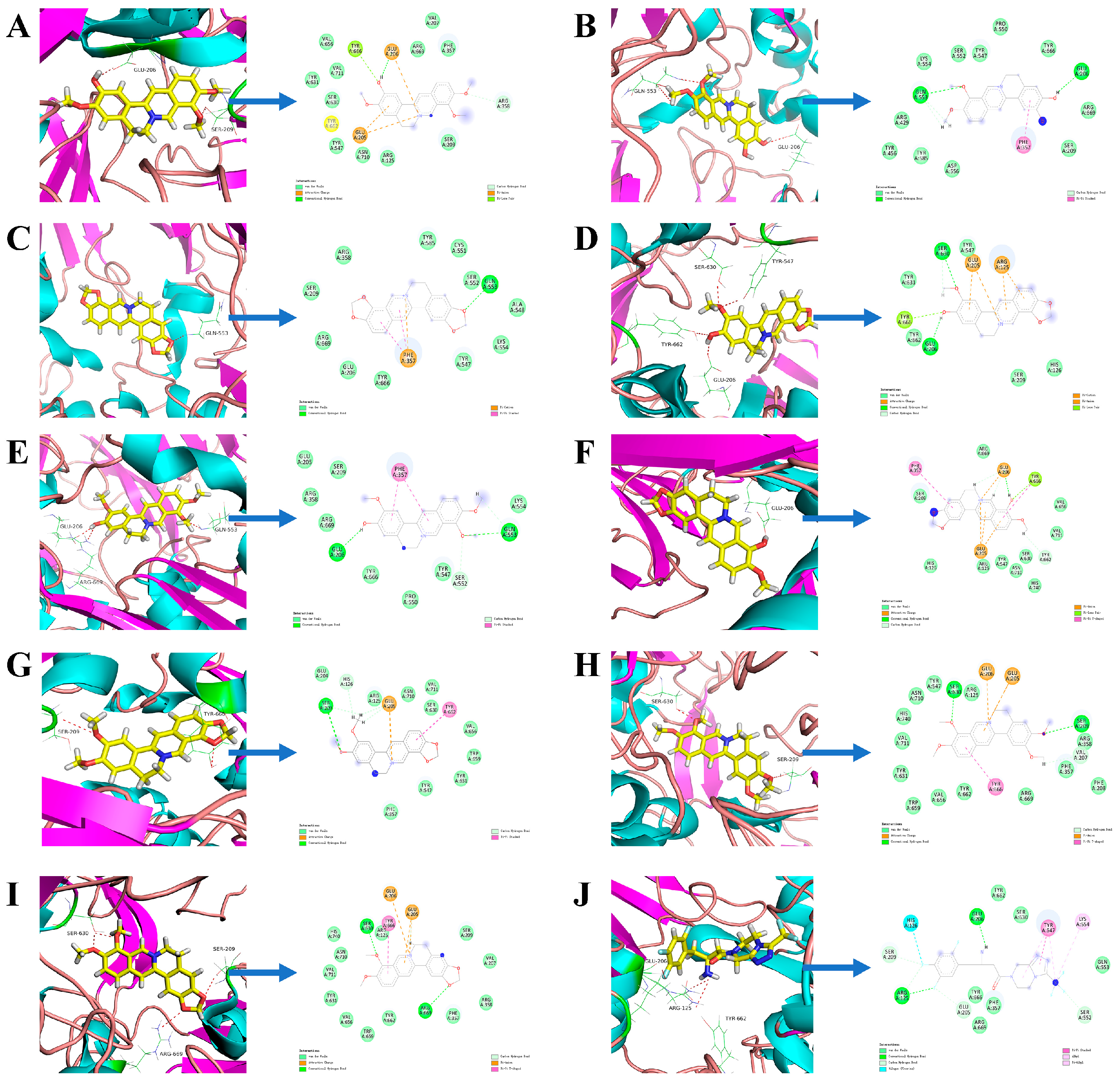 Molecules 29 02304 g006