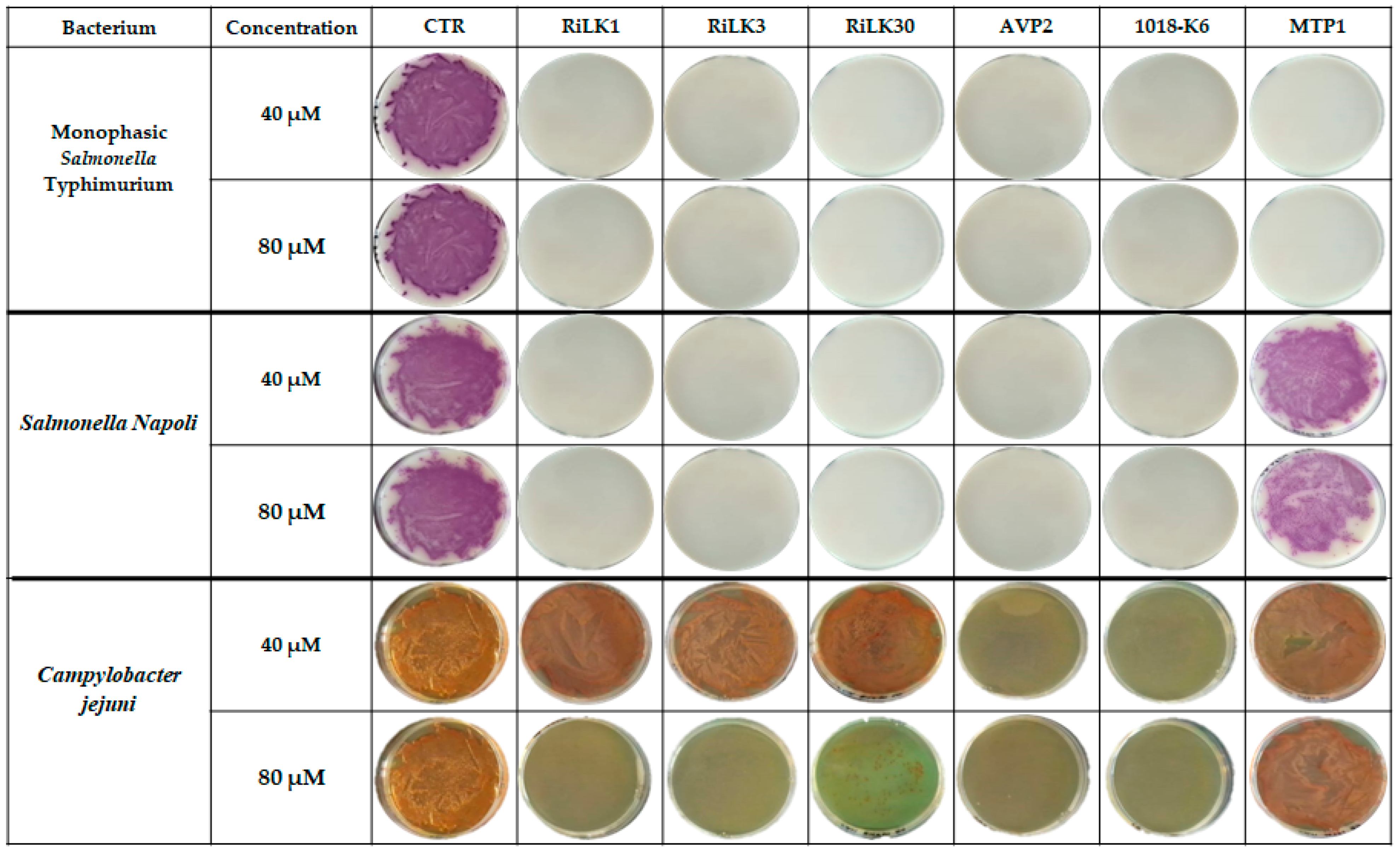 Molecules 29 02305 g006
