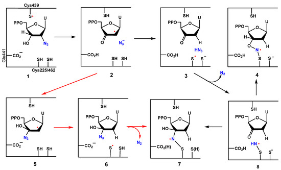 Molecules 29 02310 g001