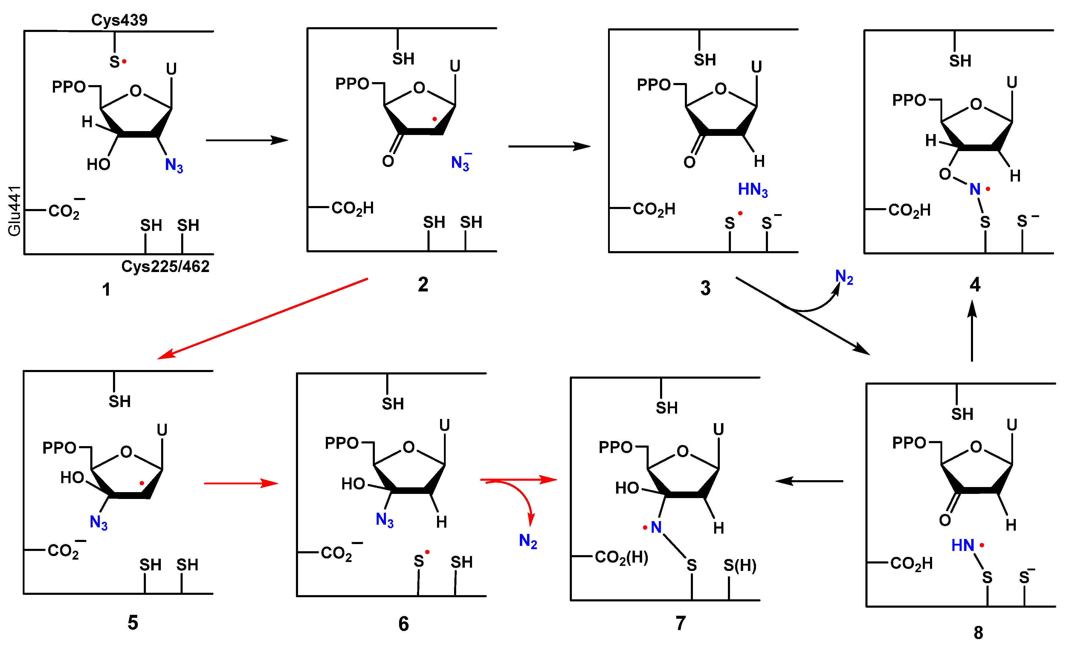 Molecules 29 02310 g001