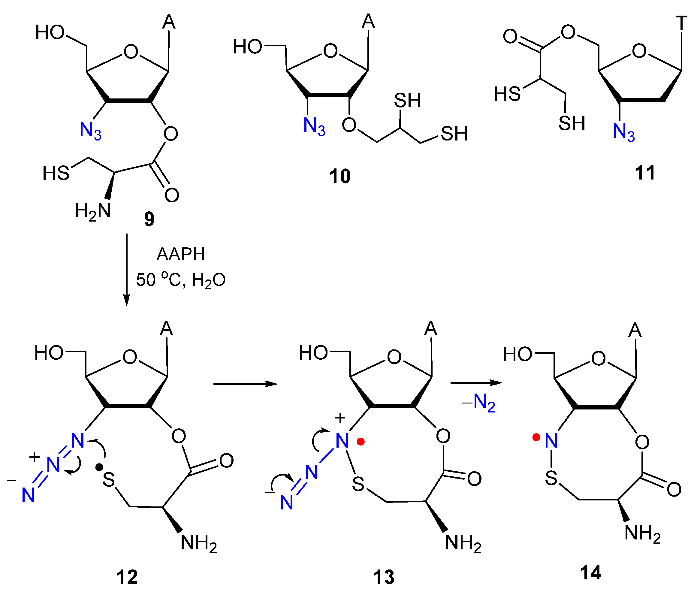 Molecules 29 02310 g002
