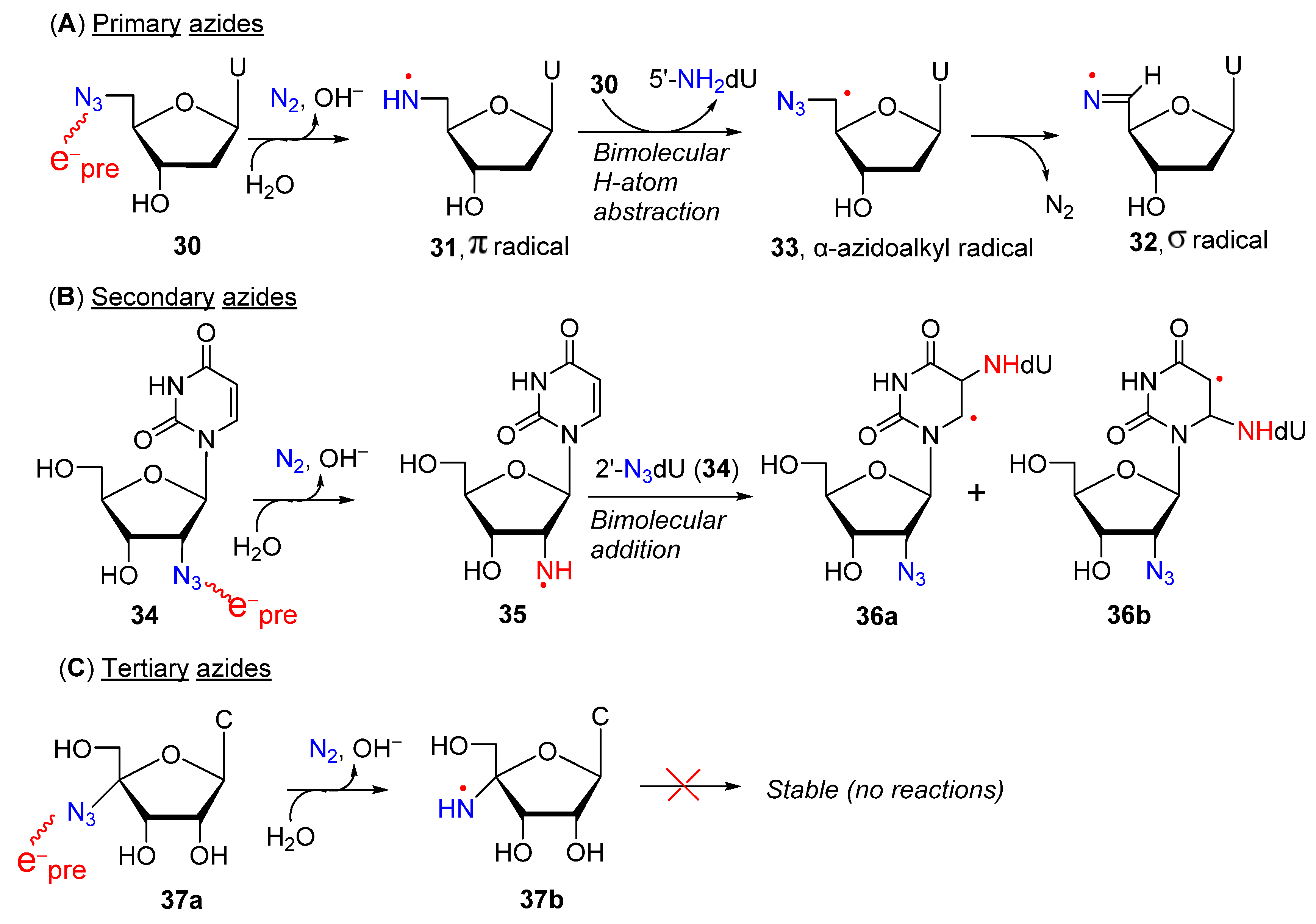 Molecules 29 02310 g005