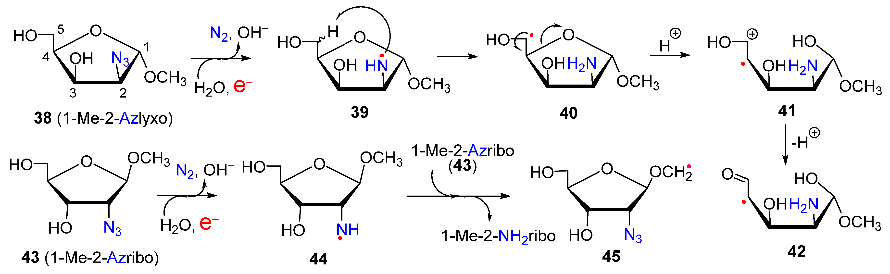Molecules 29 02310 g006