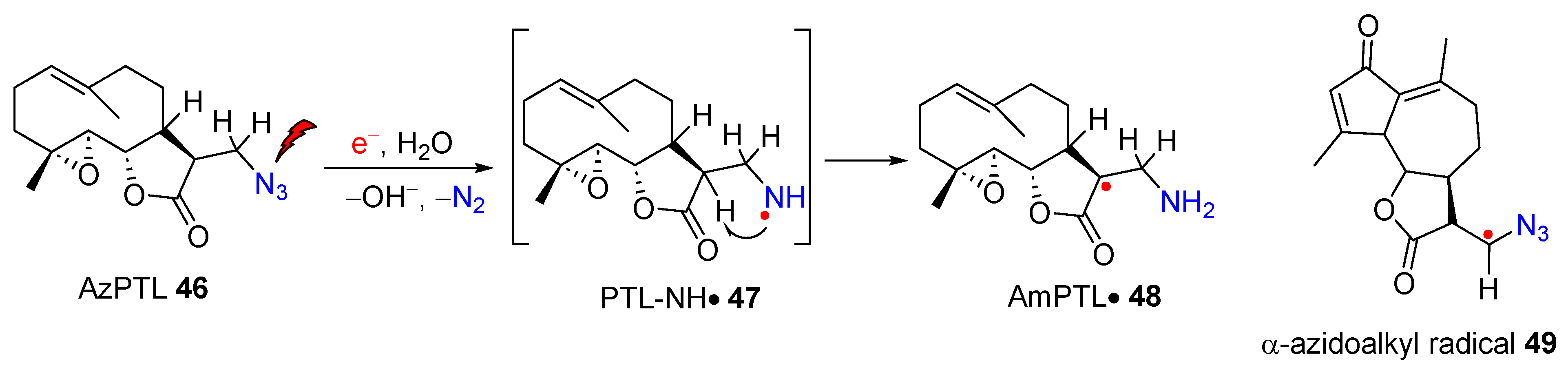 Molecules 29 02310 g007