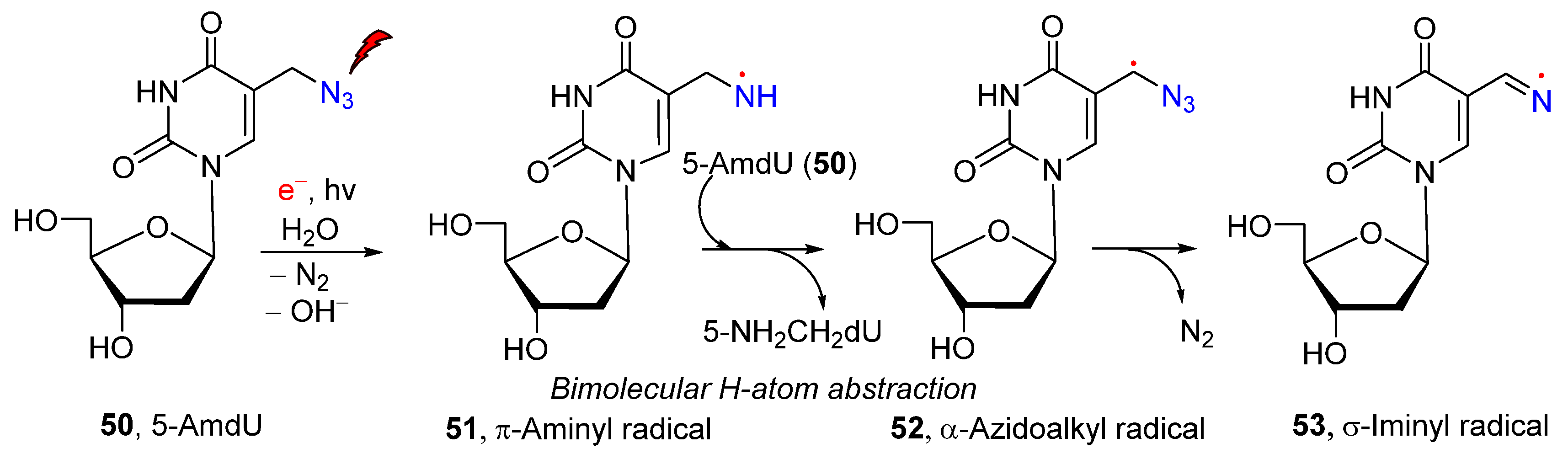 Molecules 29 02310 g008