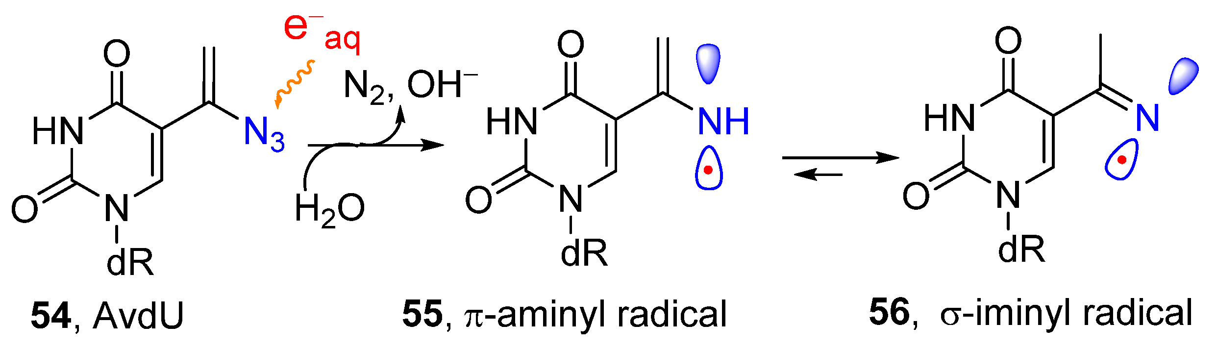 Molecules 29 02310 g009