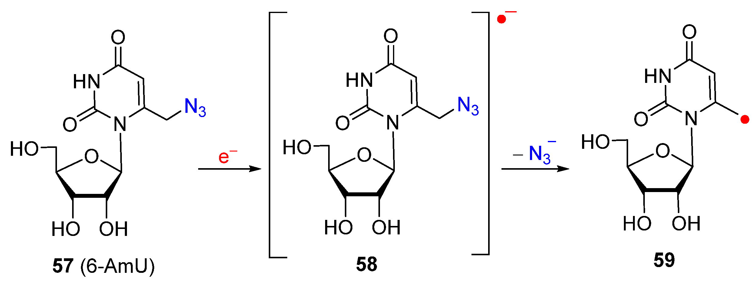 Molecules 29 02310 g010
