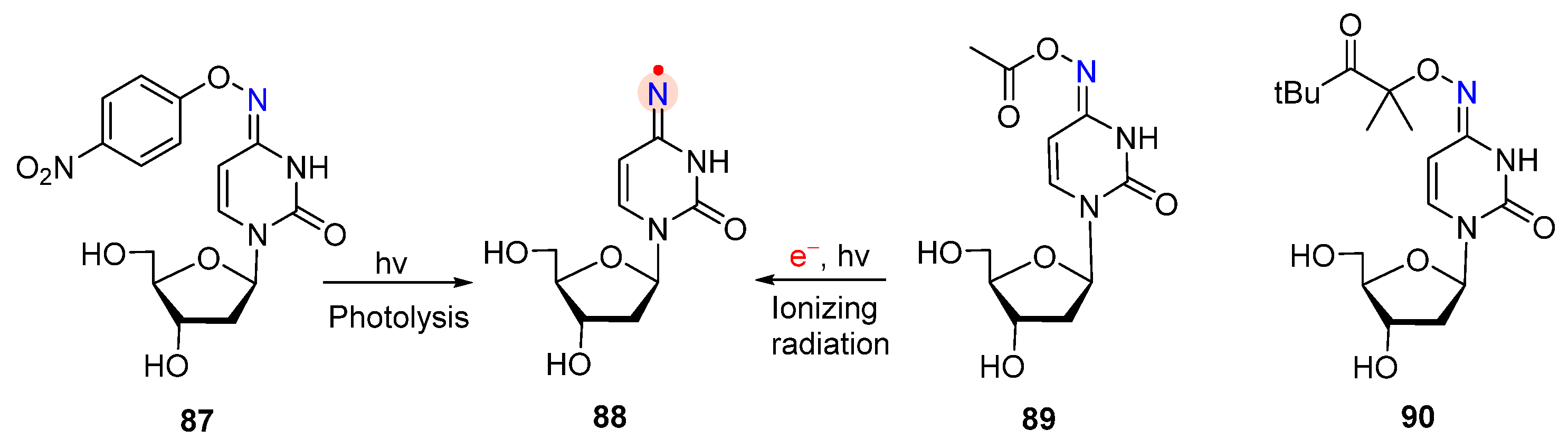 Molecules 29 02310 g016