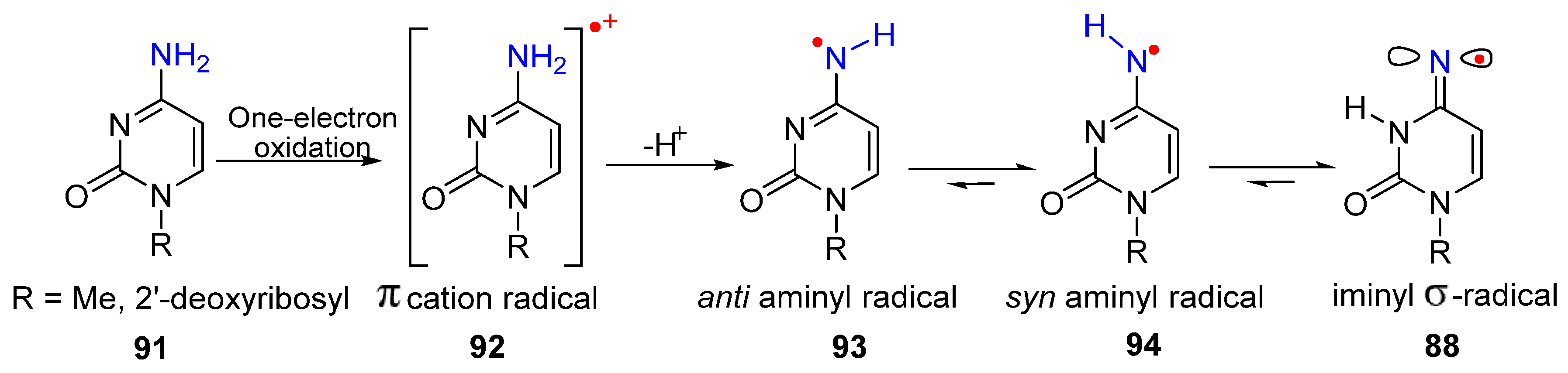 Molecules 29 02310 g017