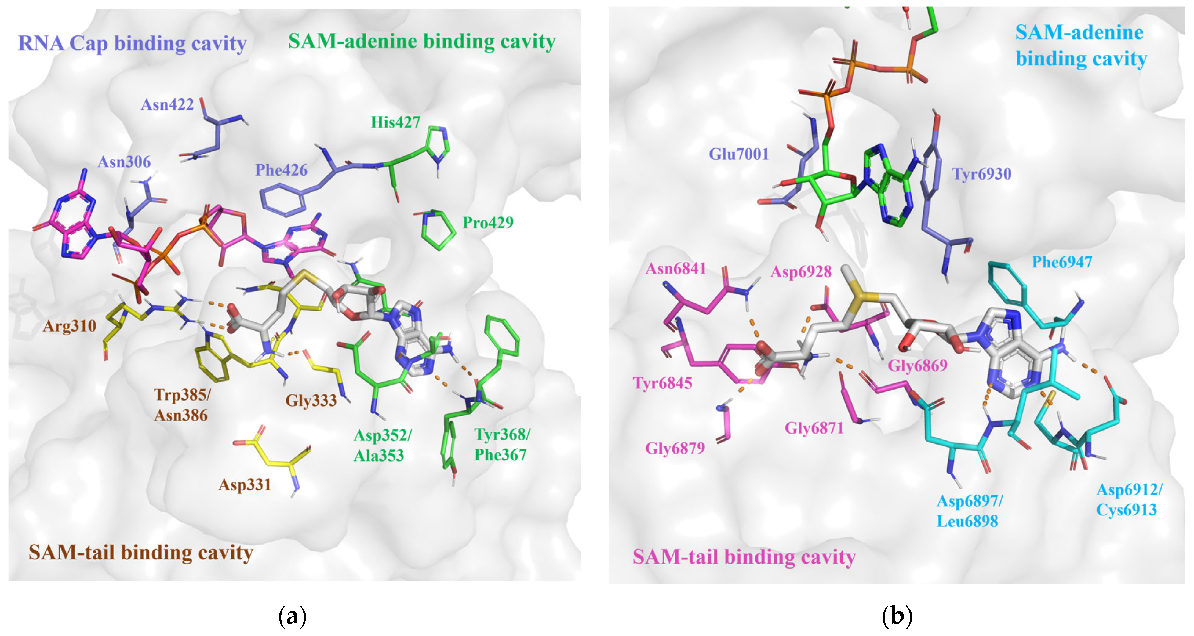 Molecules 29 02312 g003