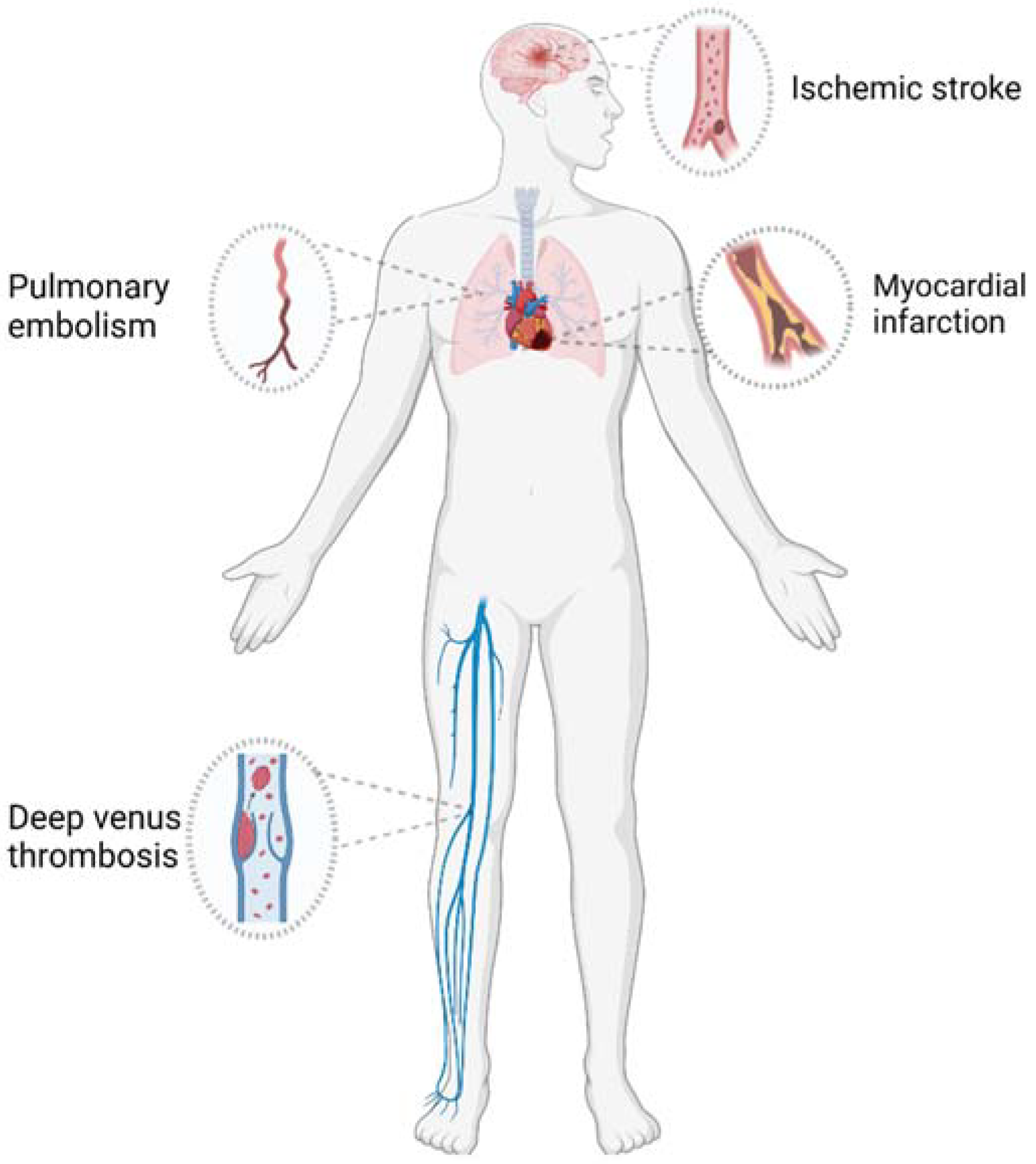 Molecules 29 02325 g001
