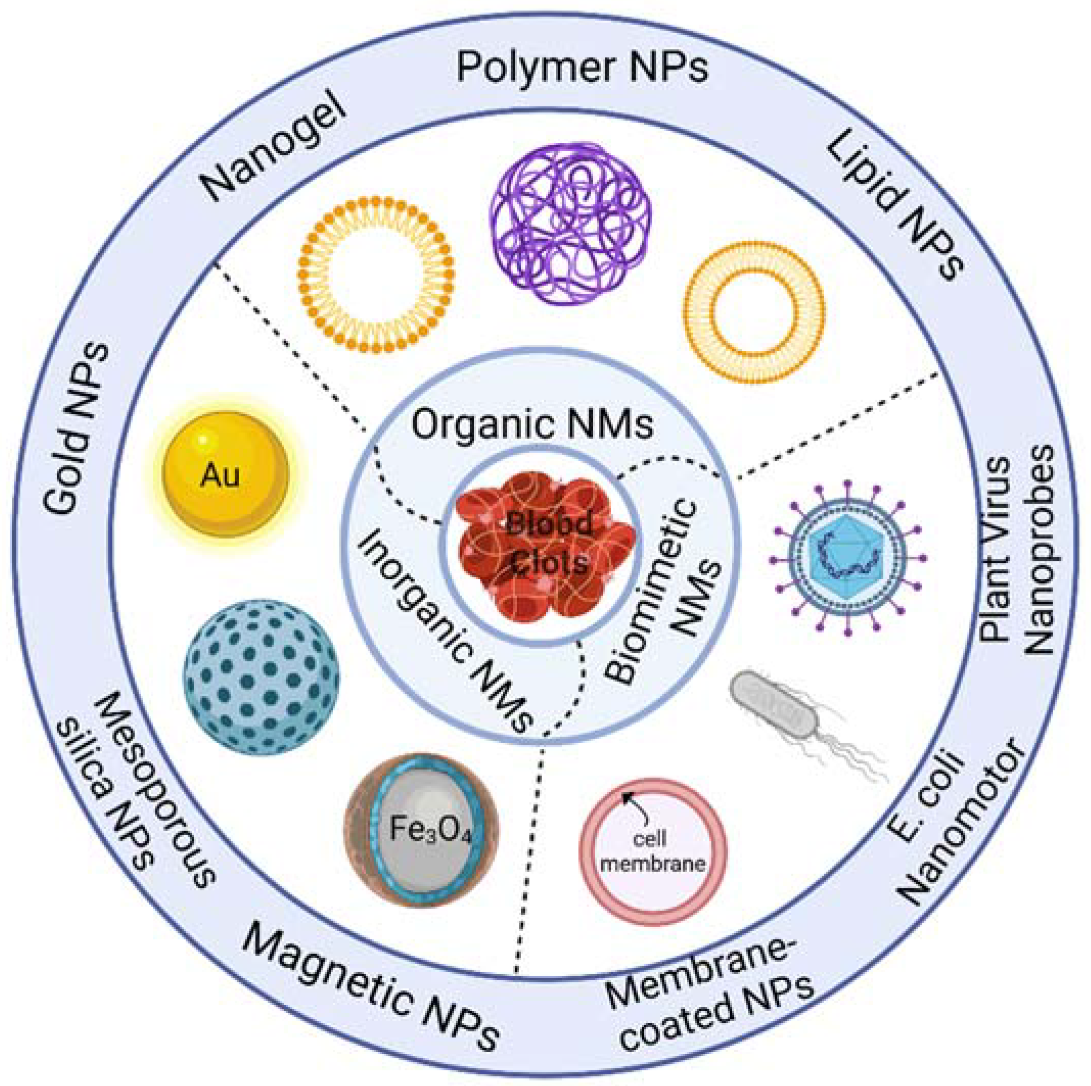 Molecules 29 02325 g002