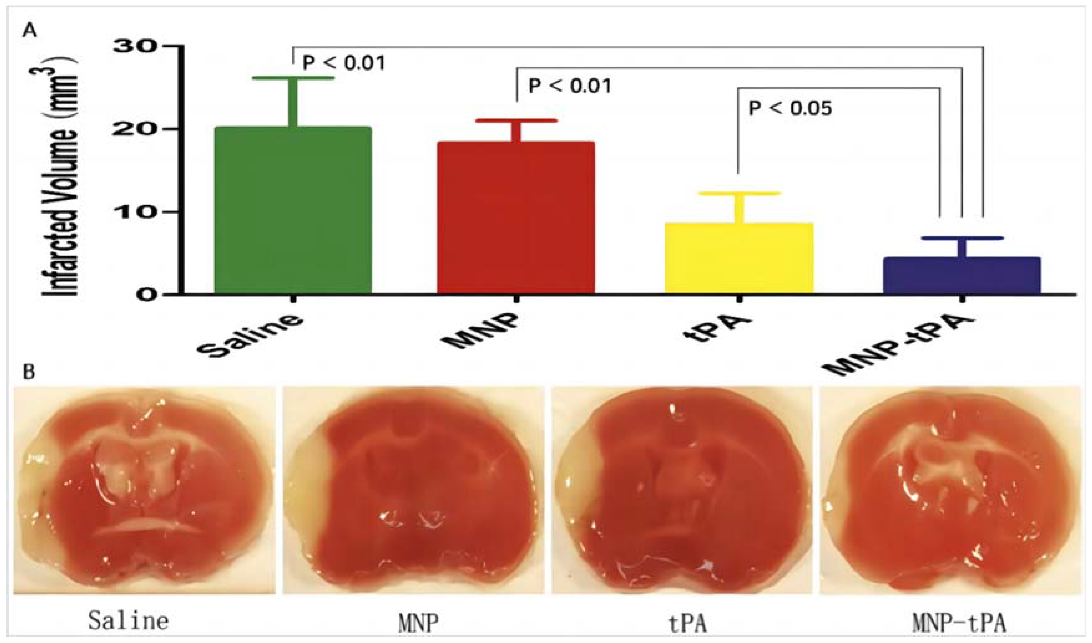 Molecules 29 02325 g003