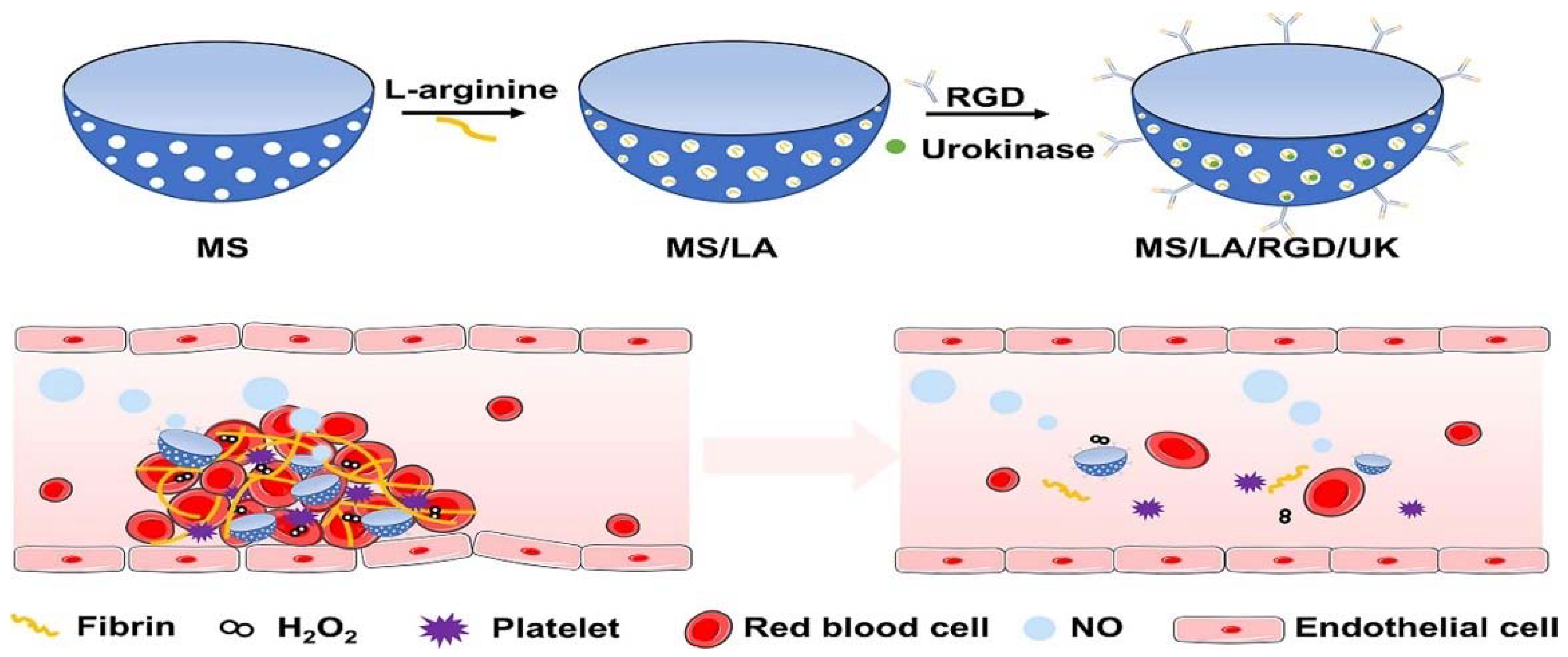 Molecules 29 02325 g004