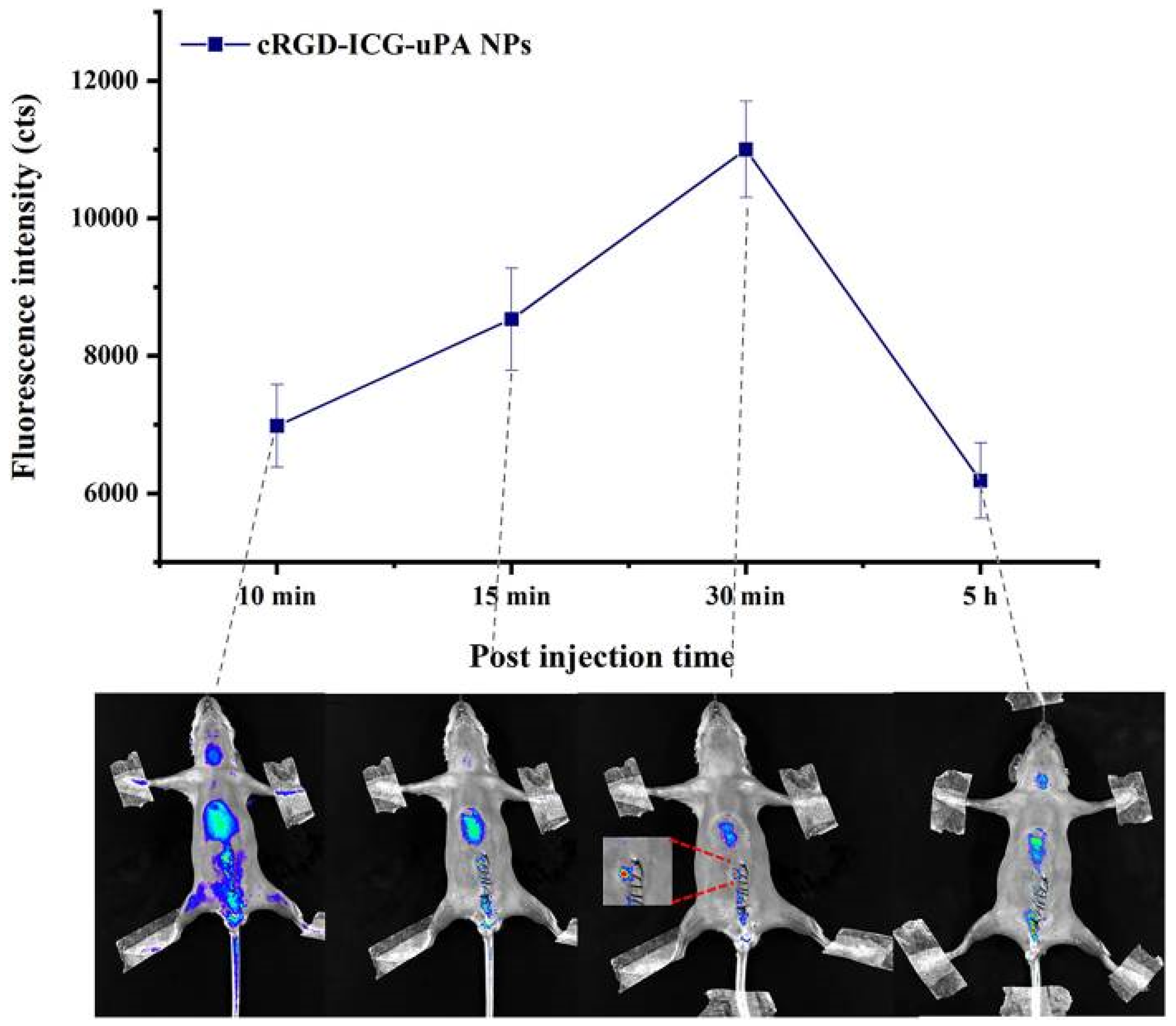 Molecules 29 02325 g006