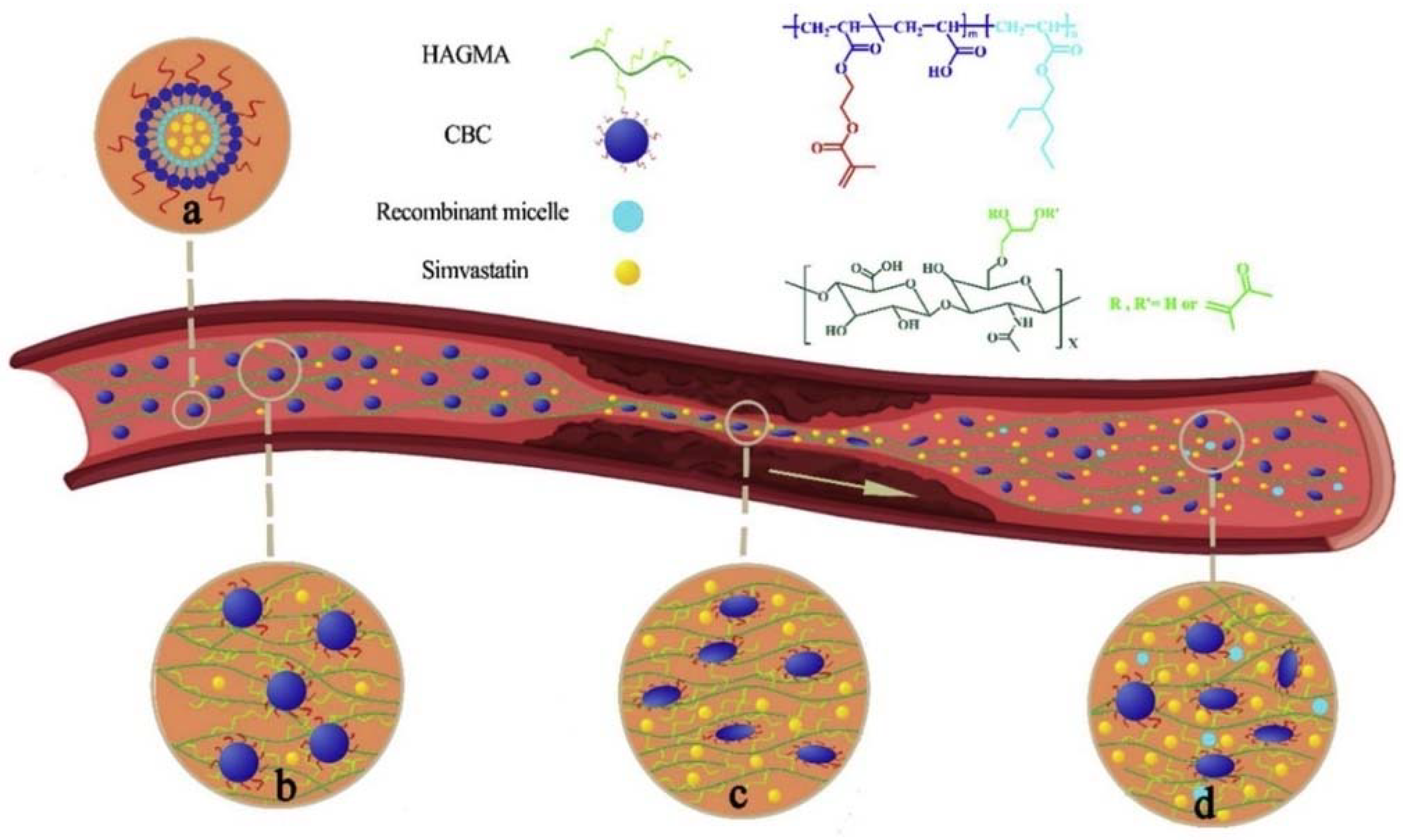 Molecules 29 02325 g007