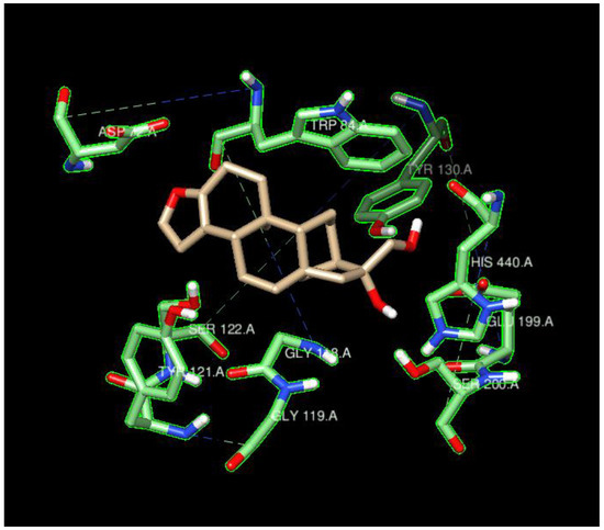 Molecules 29 02333 g005