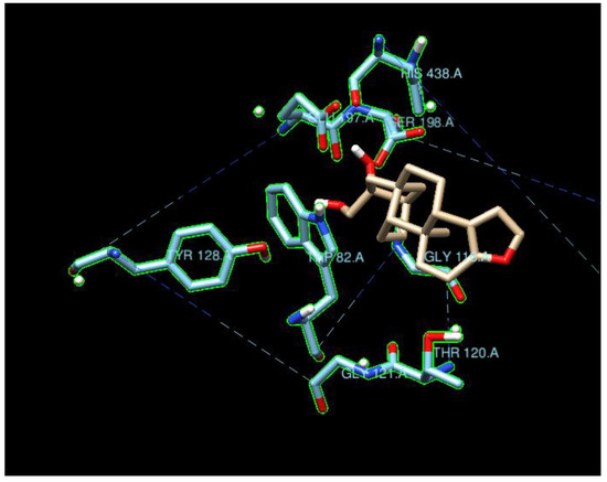 Molecules 29 02333 g007