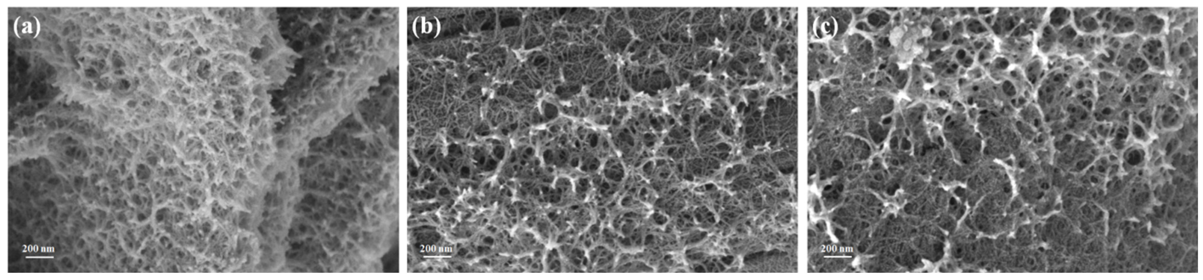 Molecules 29 02339 g002