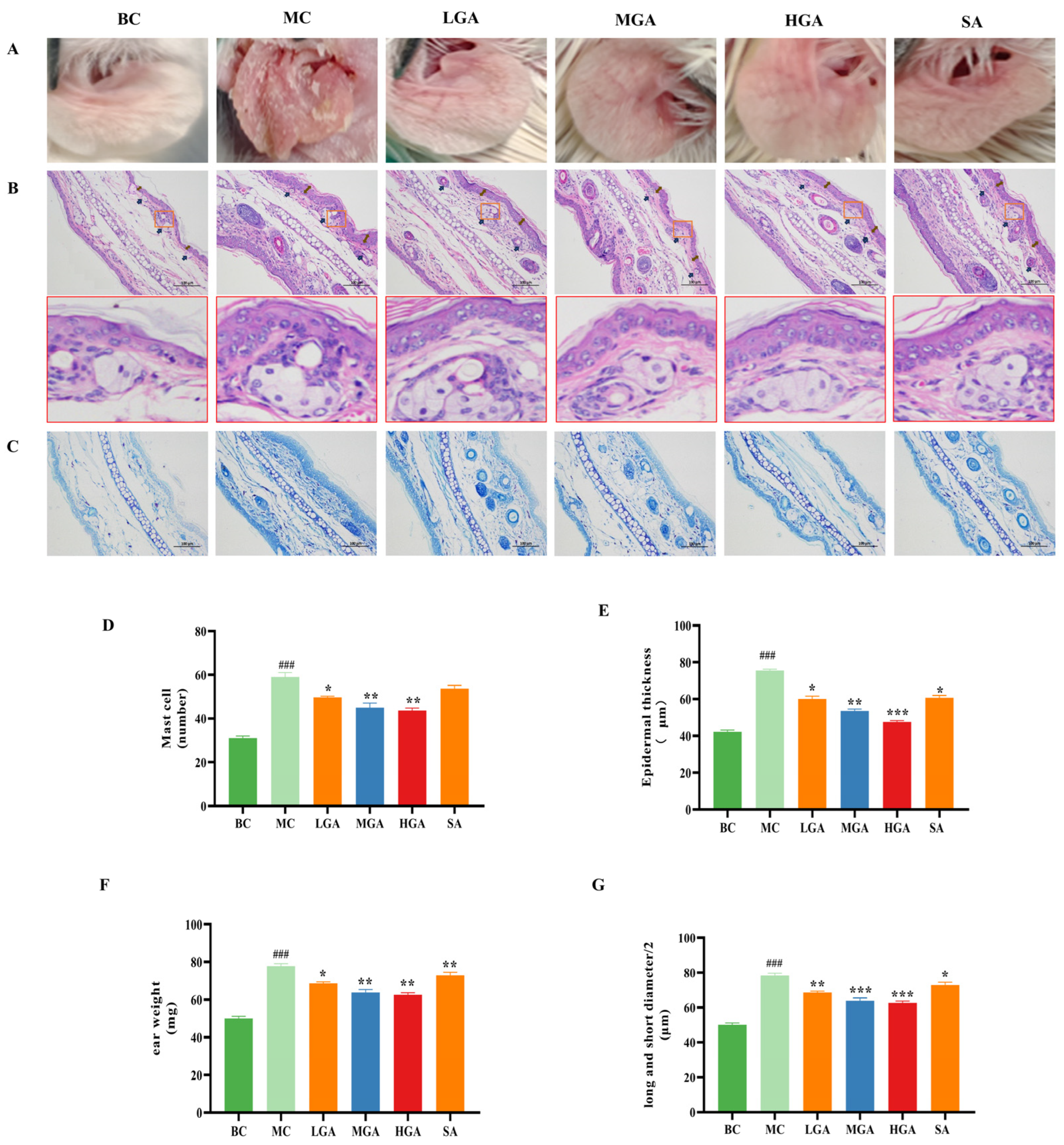 Molecules 29 02345 g004