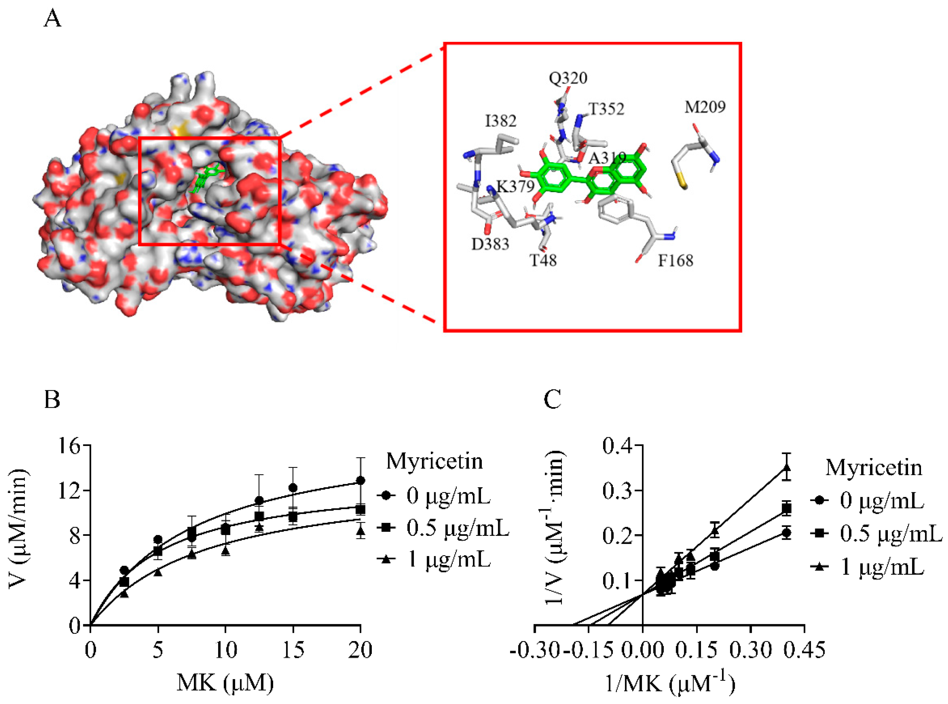 Molecules 29 02354 g004