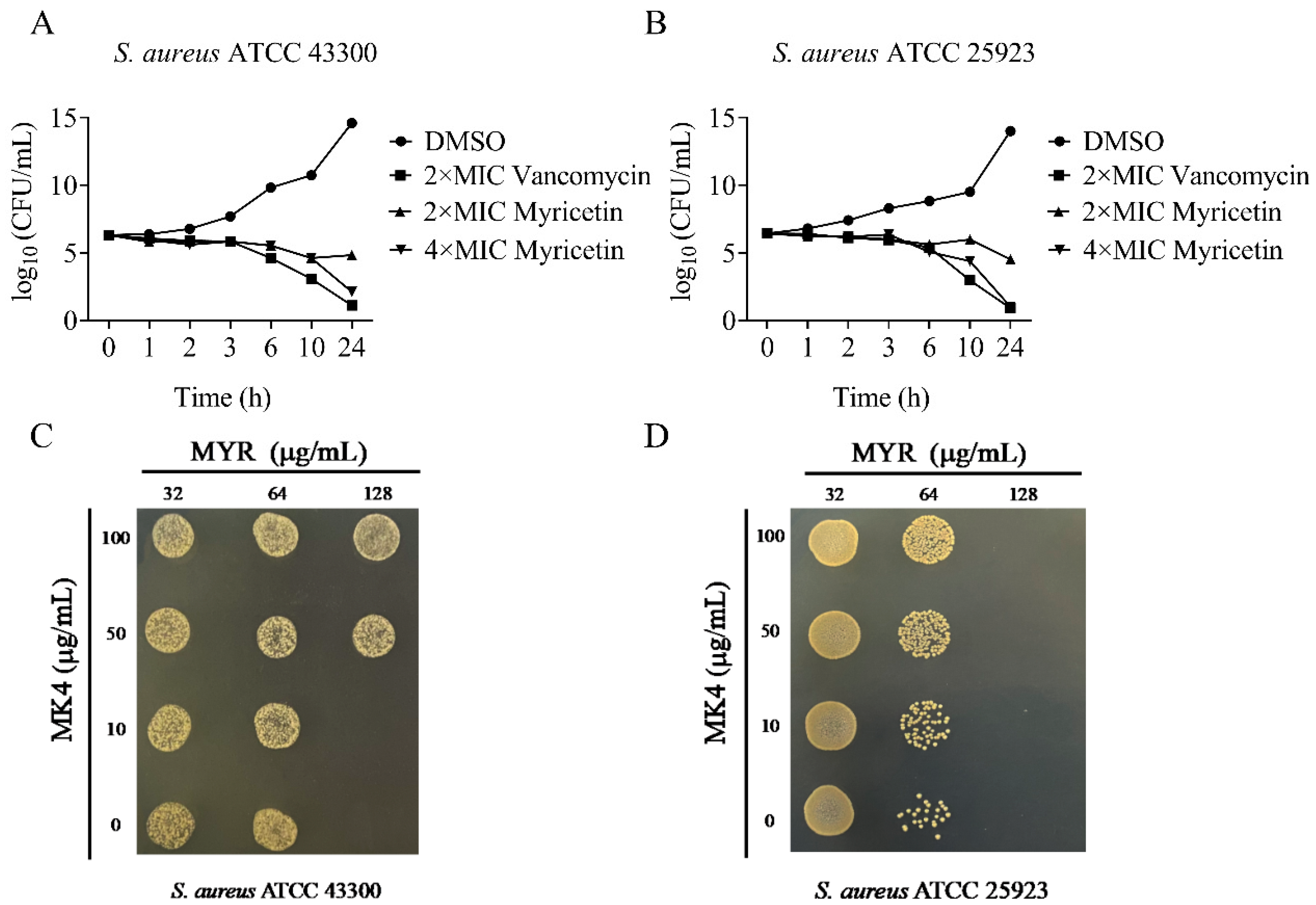 Molecules 29 02354 g005