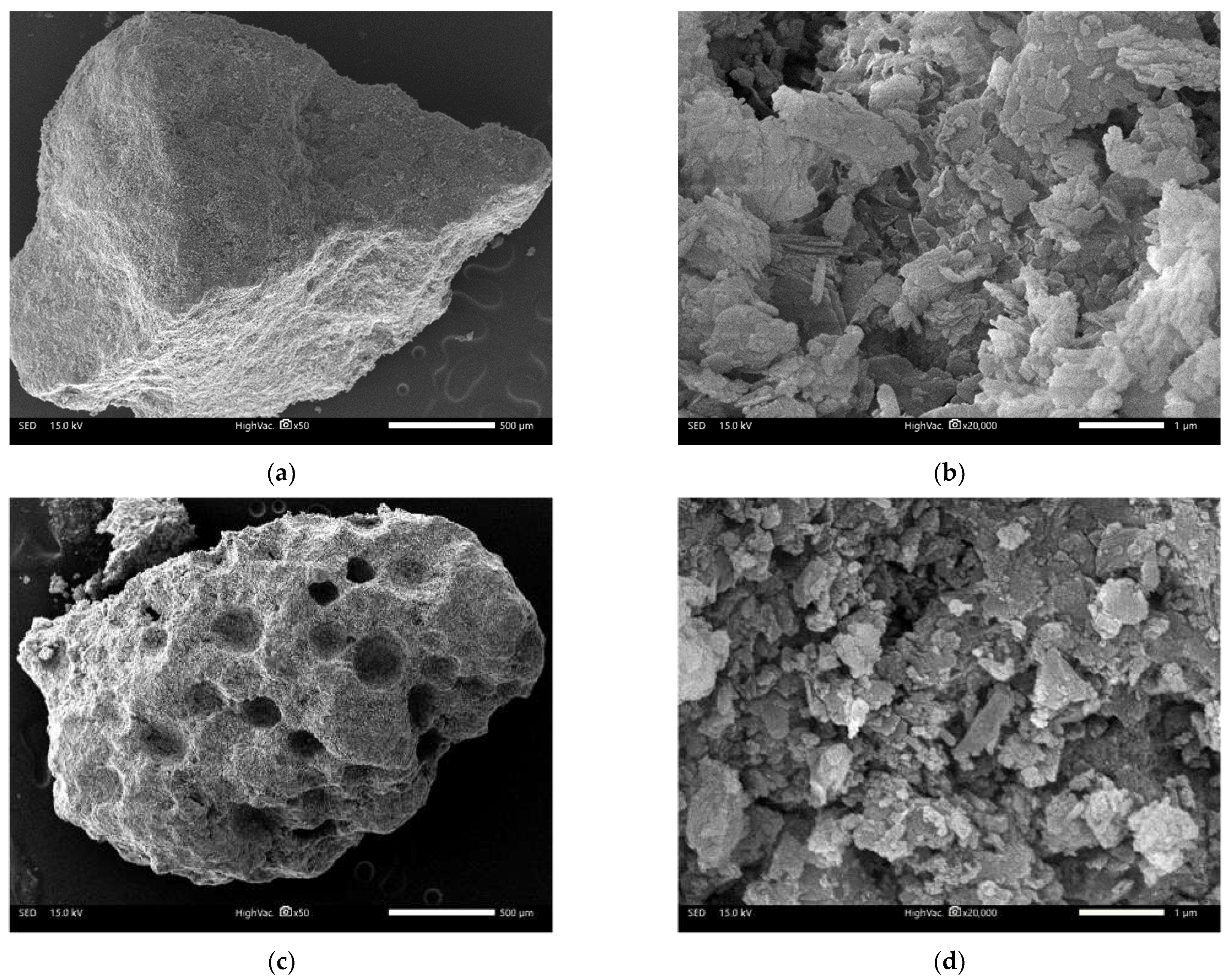 Molecules 29 02357 g002