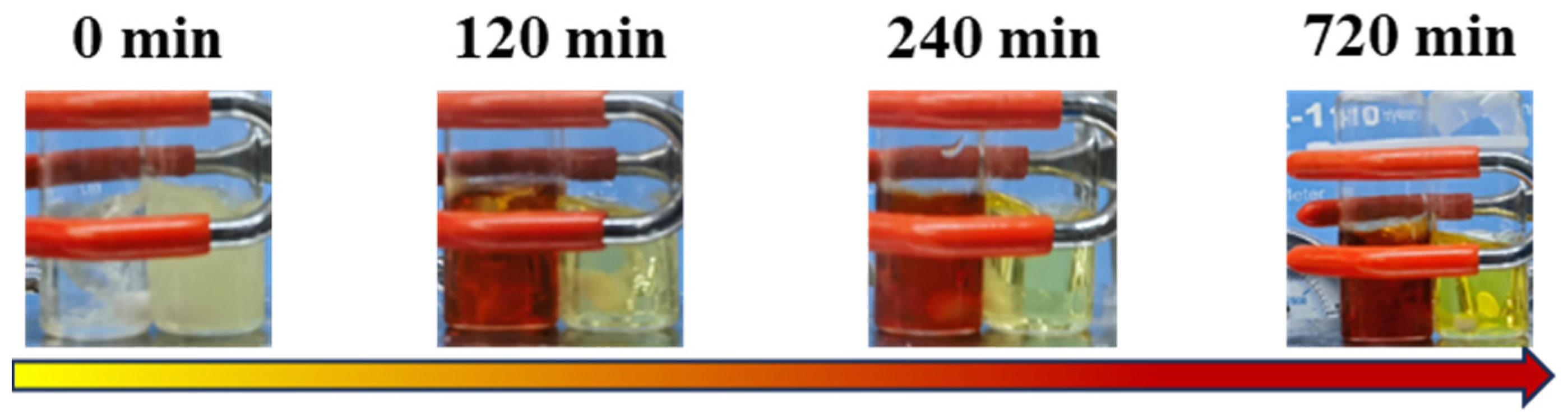 Molecules 29 02363 g001