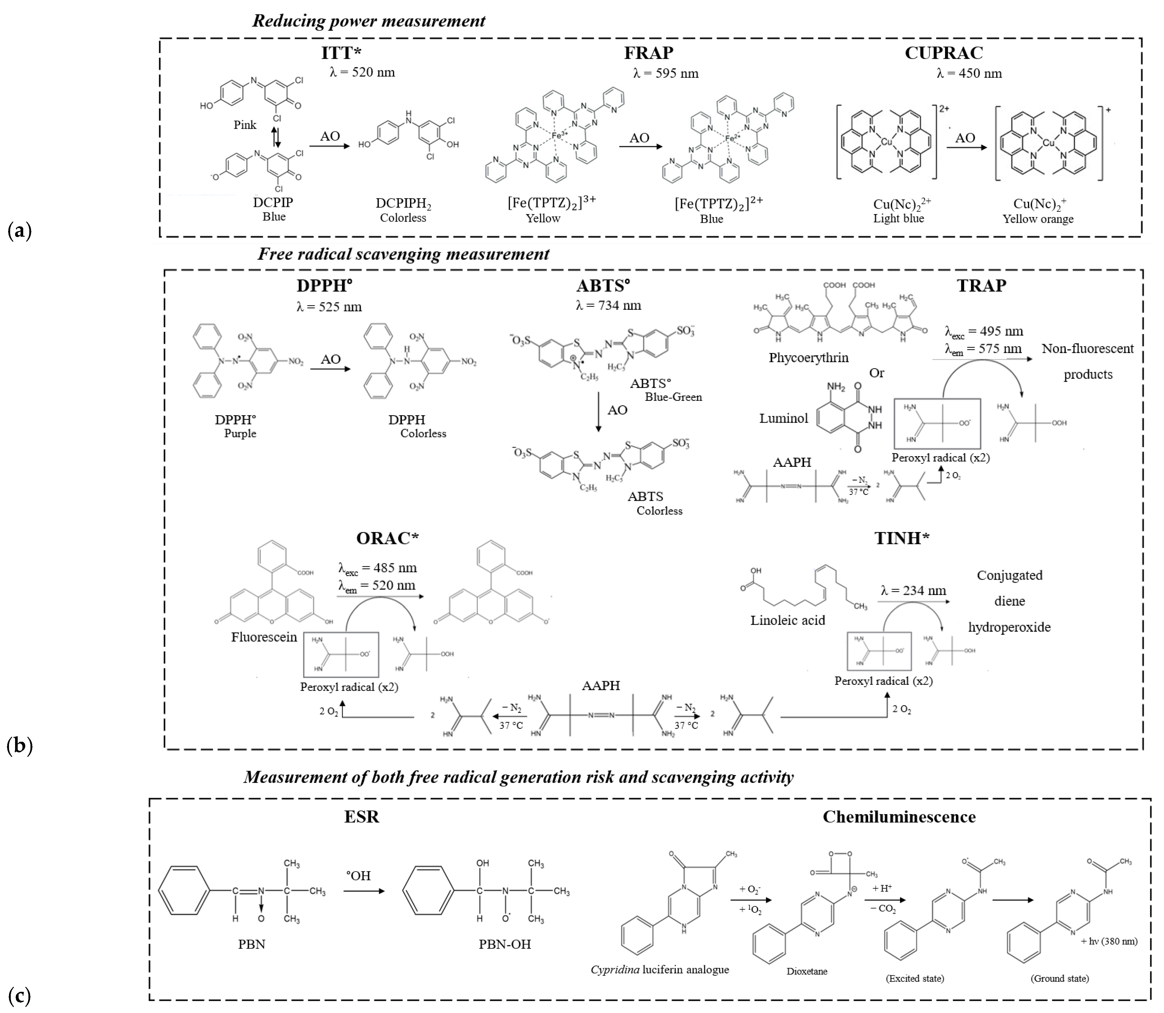 Molecules 29 02370 g001 Molecules 29 02370 g001