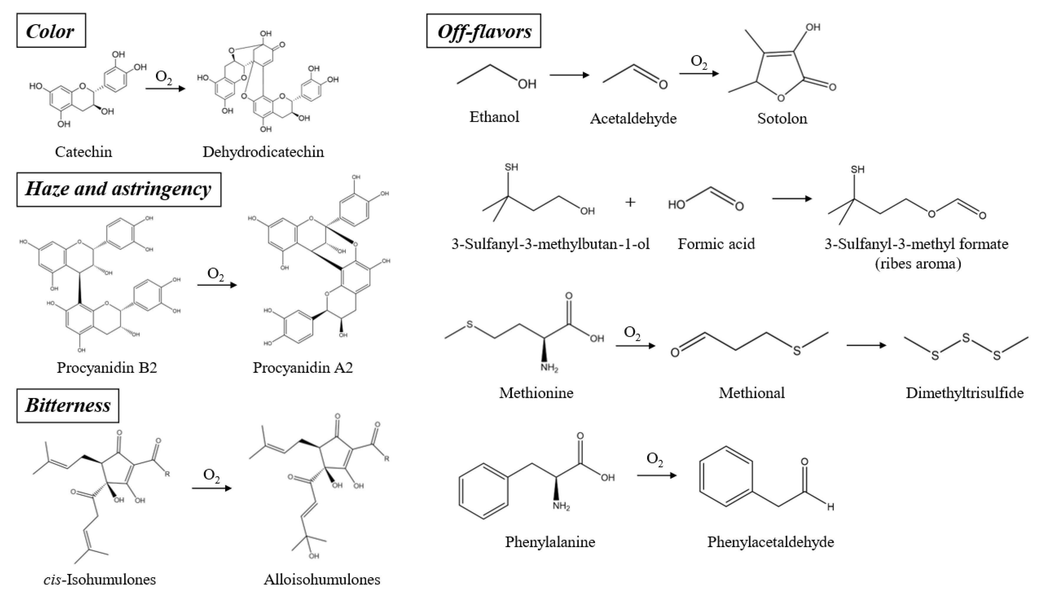Molecules 29 02370 g002 Molecules 29 02370 g002