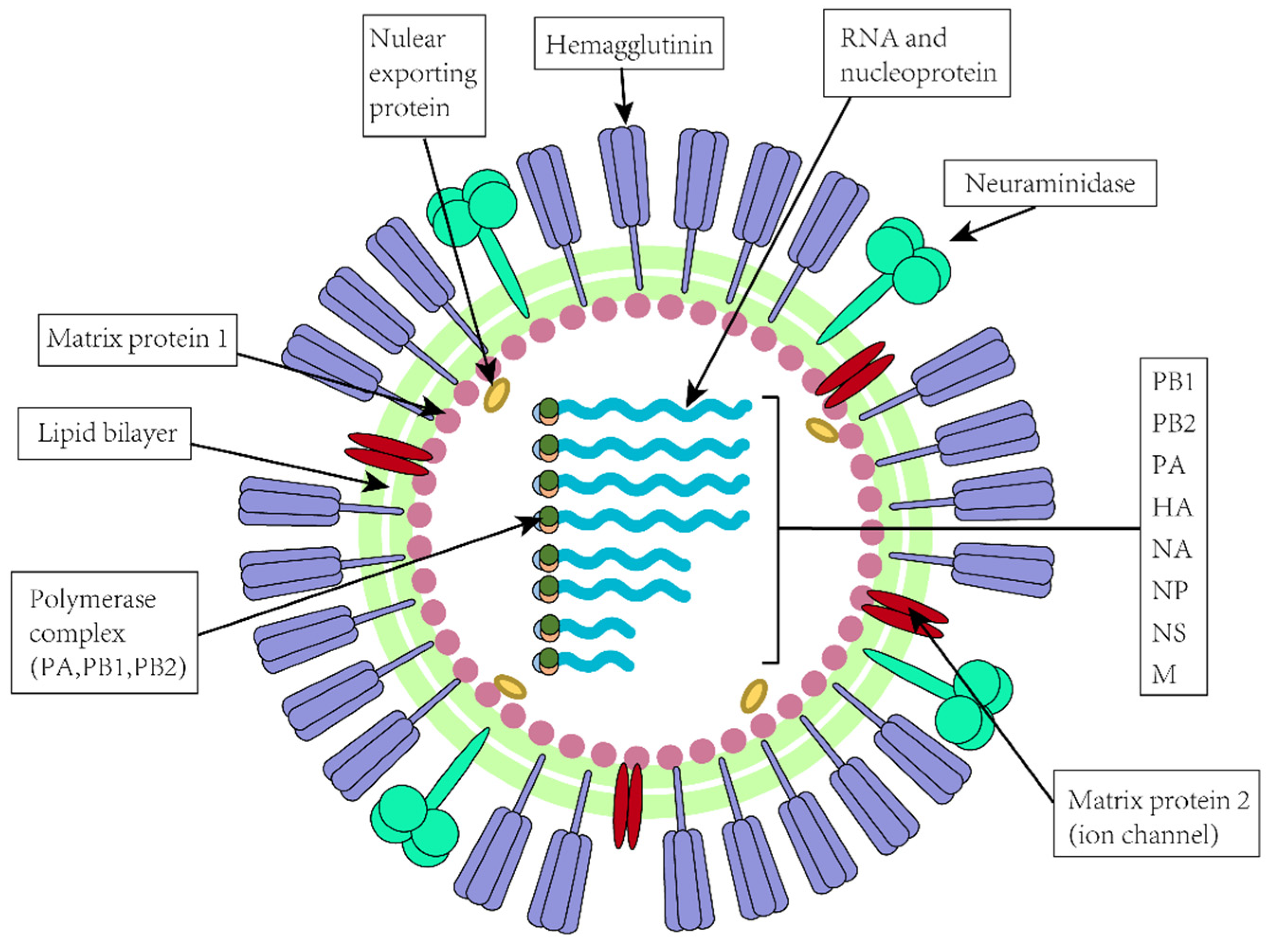 Molecules 29 02371 g001