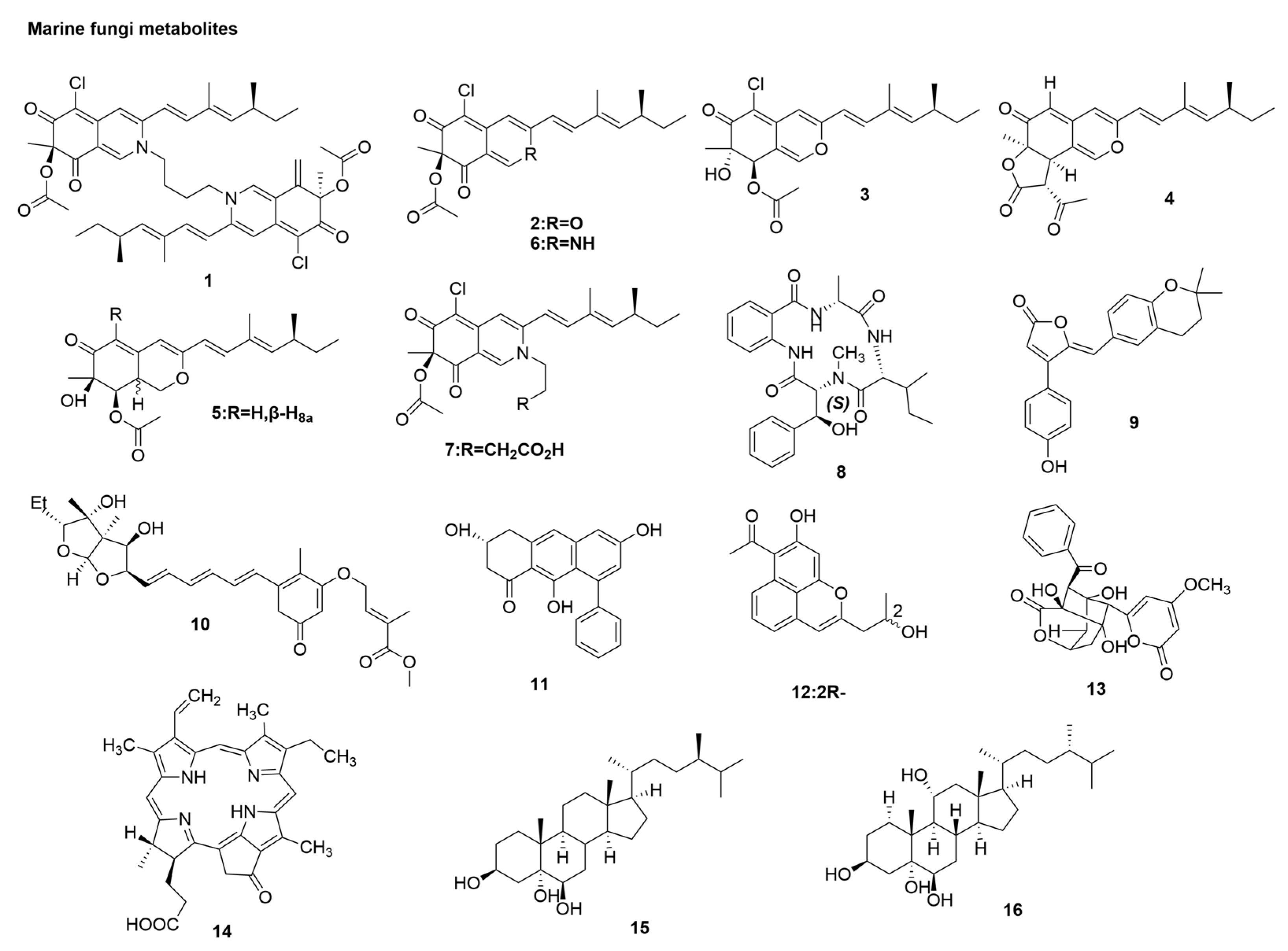 Molecules 29 02371 g003