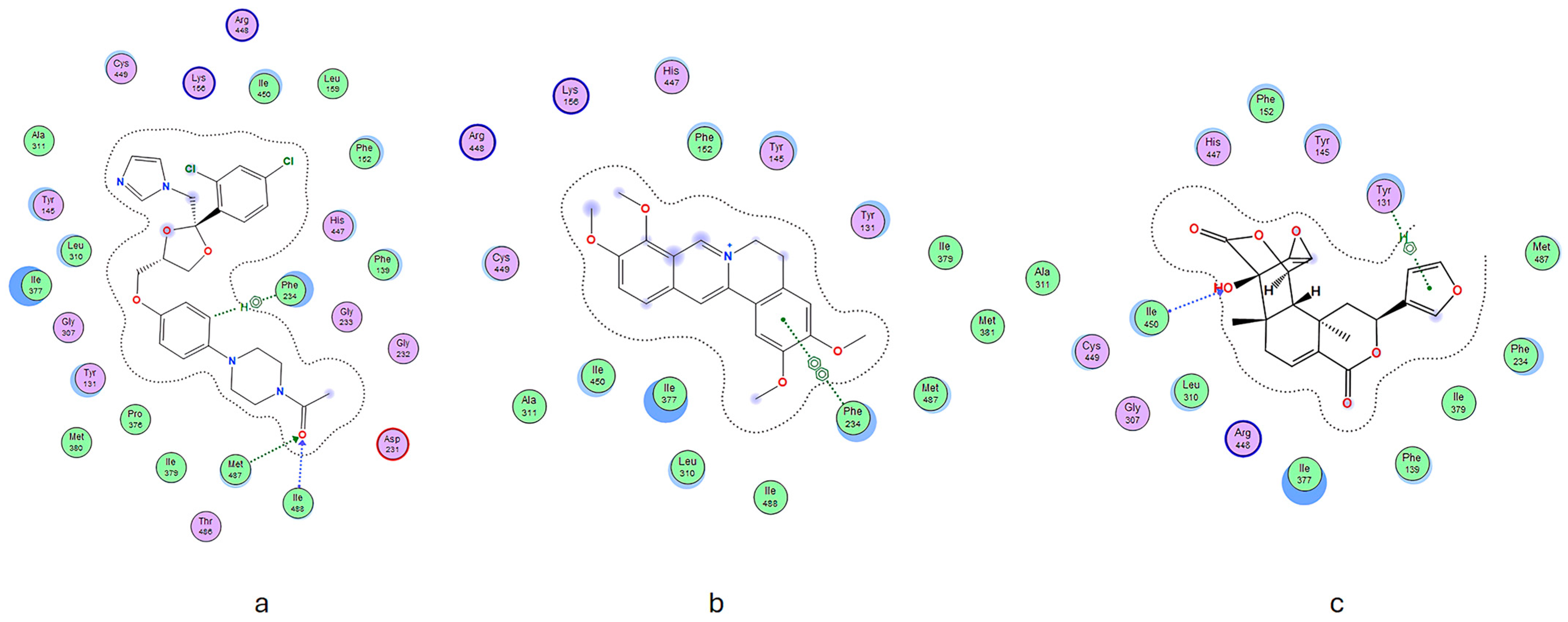 Molecules 29 02373 g003