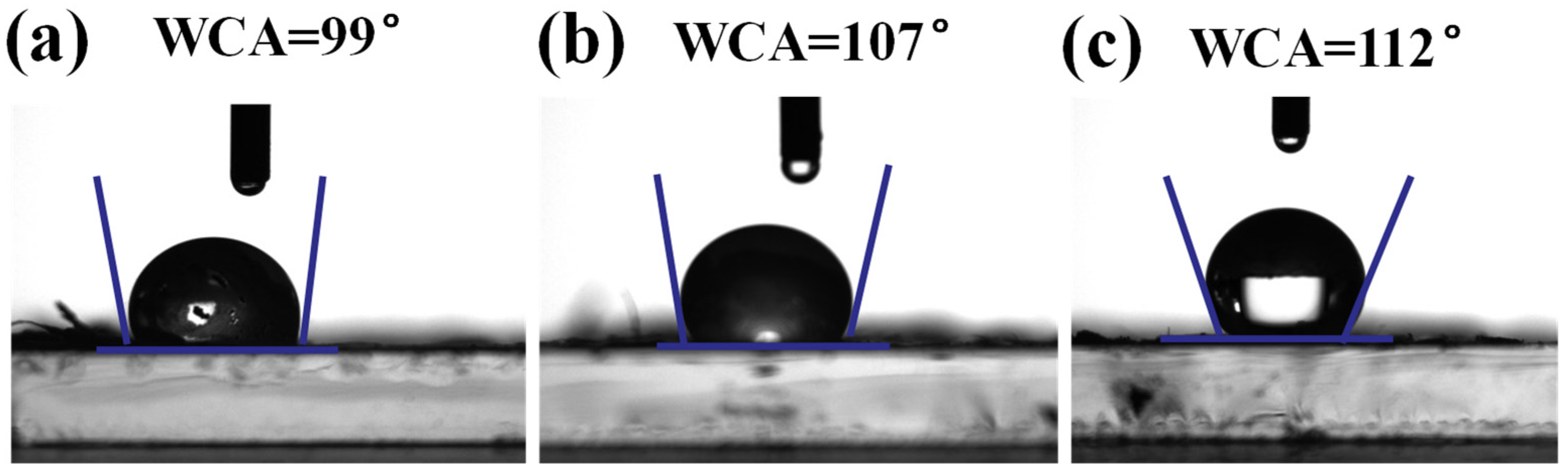 Molecules 29 02381 g004