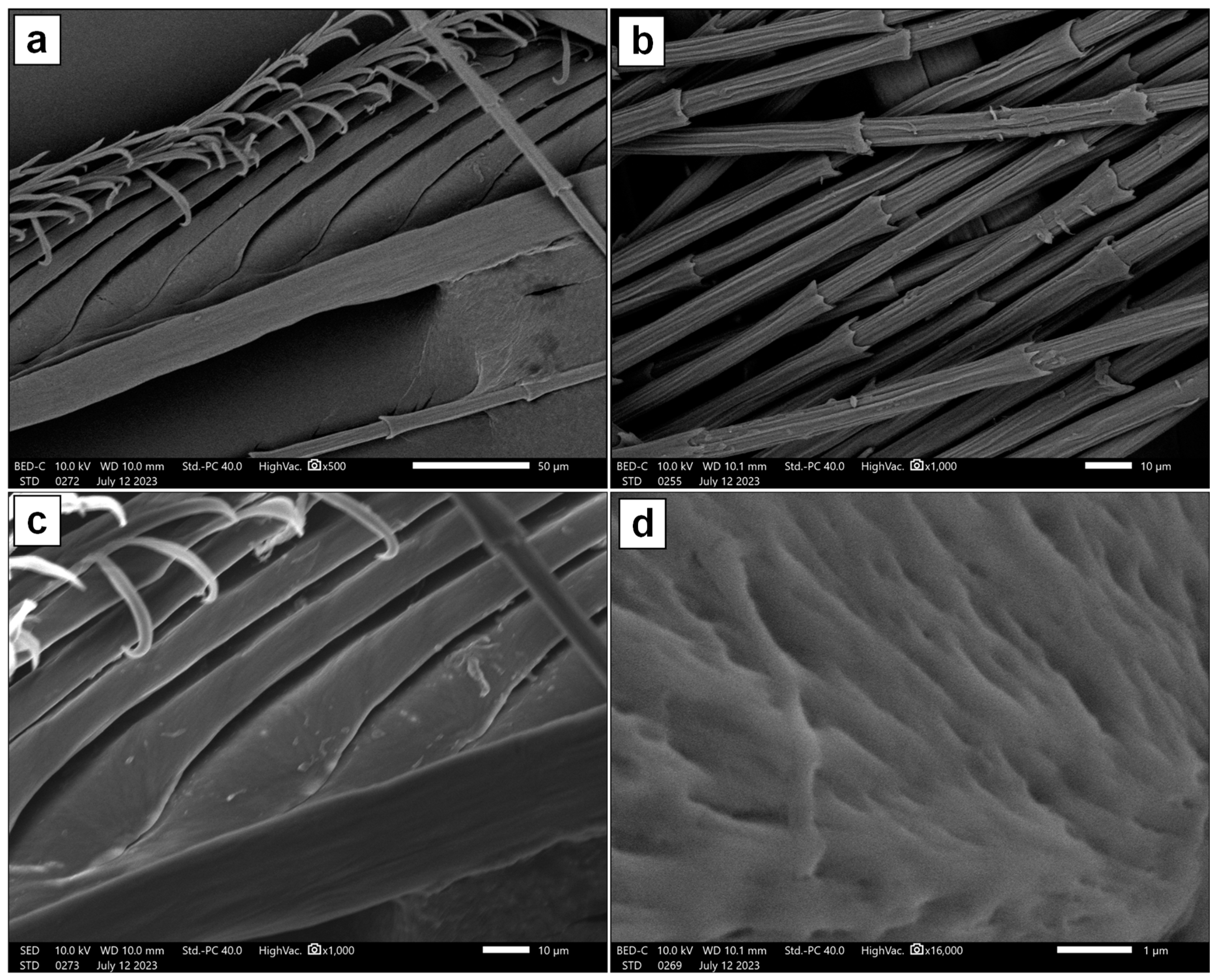 Molecules 29 02387 g001