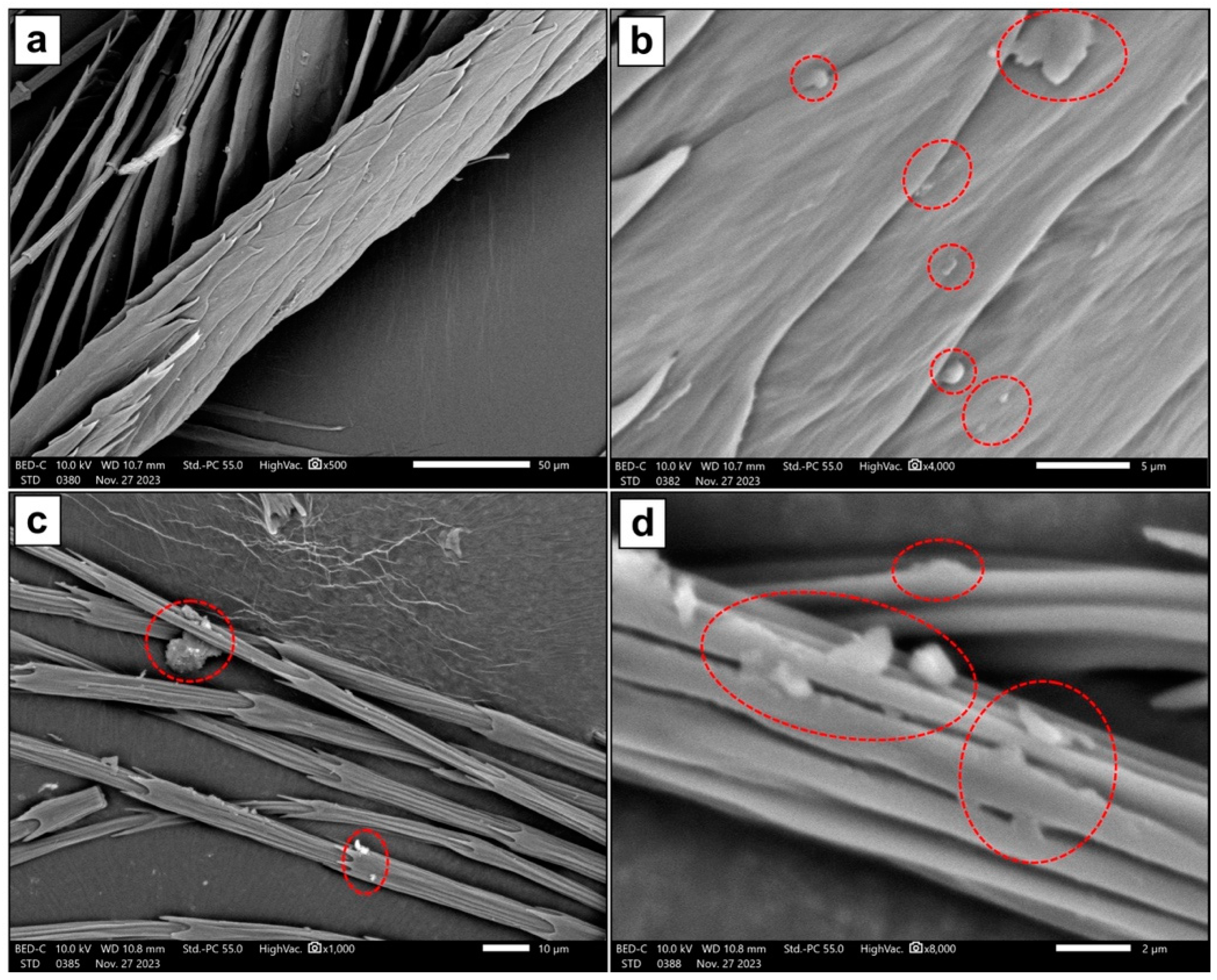 Molecules 29 02387 g002